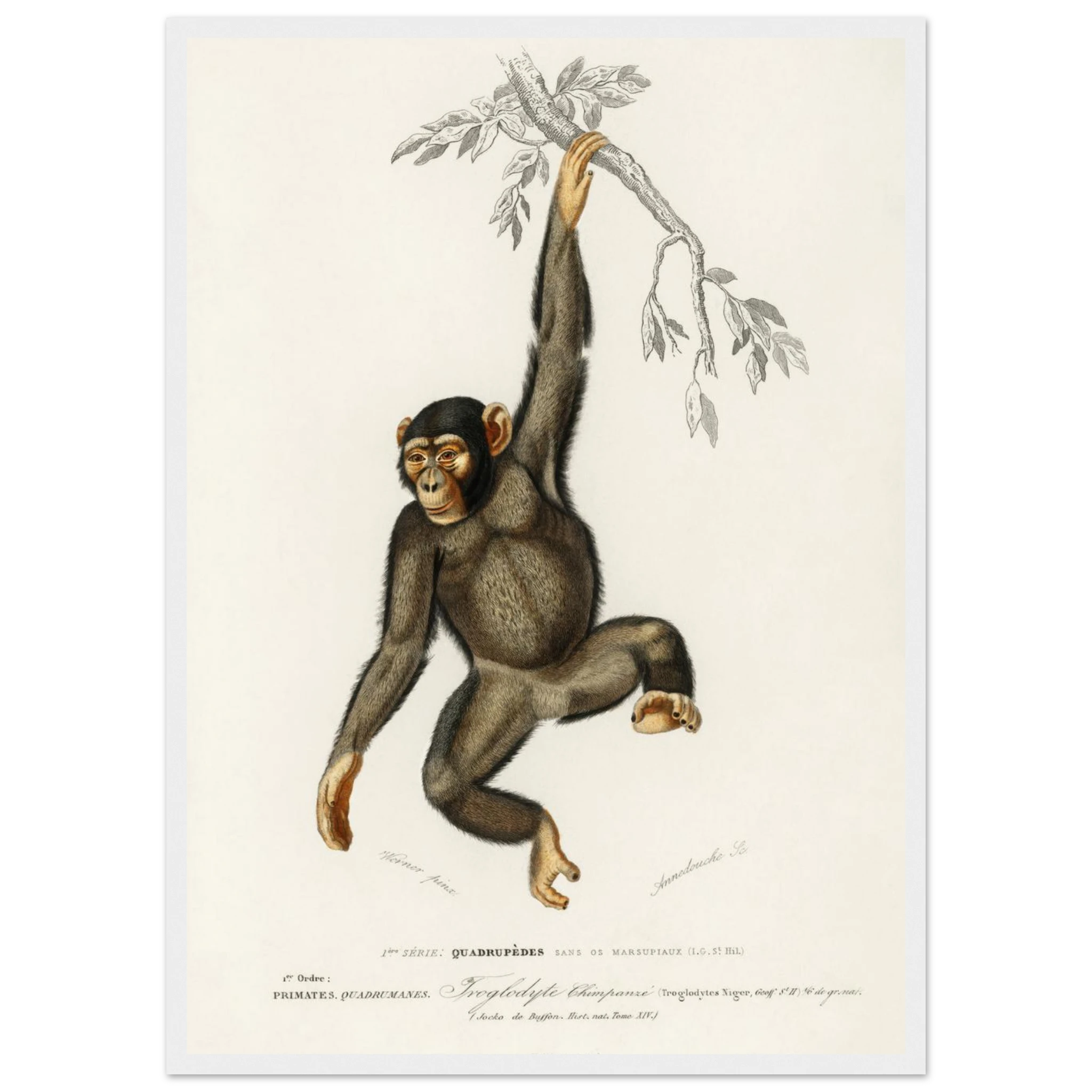 36cb3464-995e-4227-a1a2-c343c40c2035