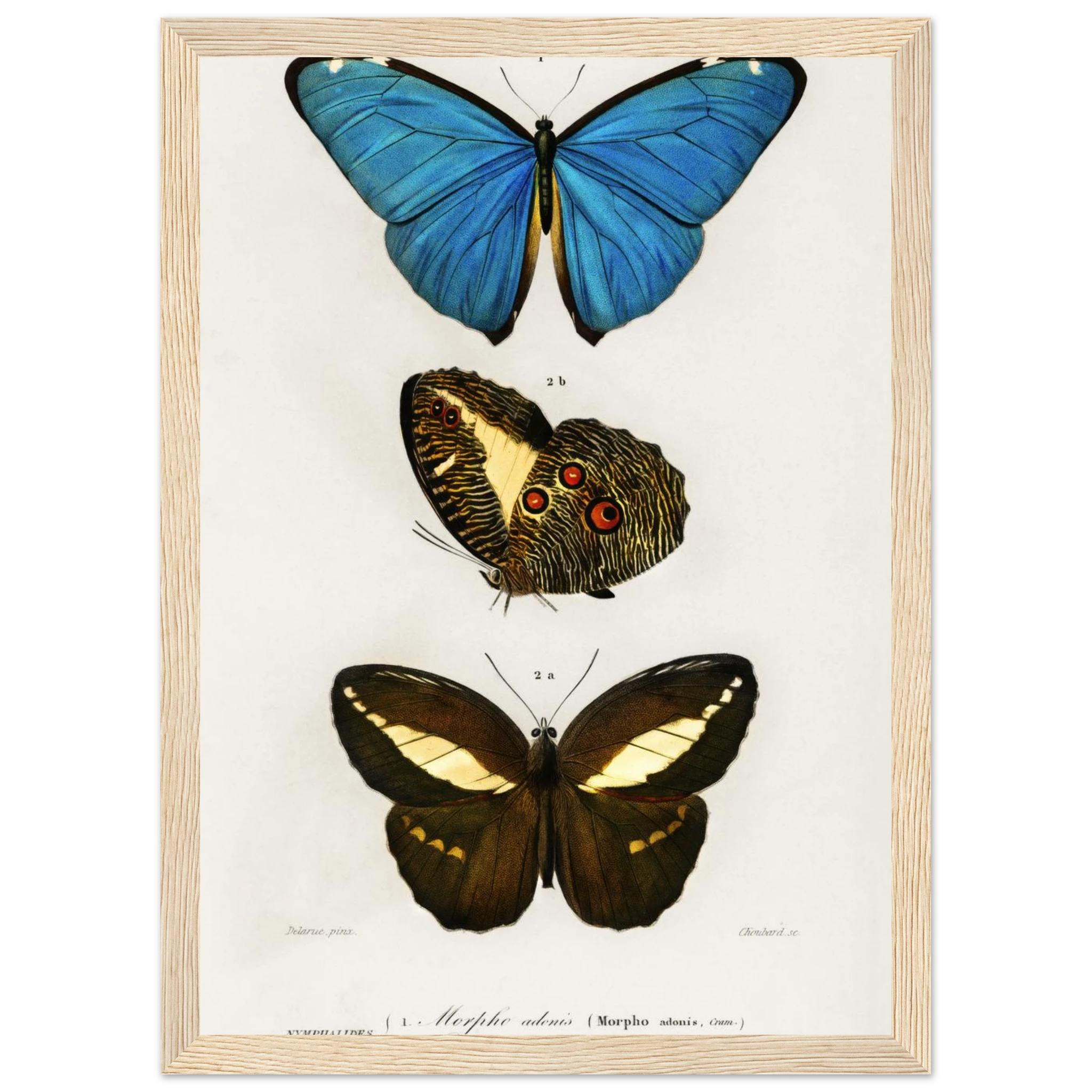 36e571c8-6267-4f56-8728-139da4393553