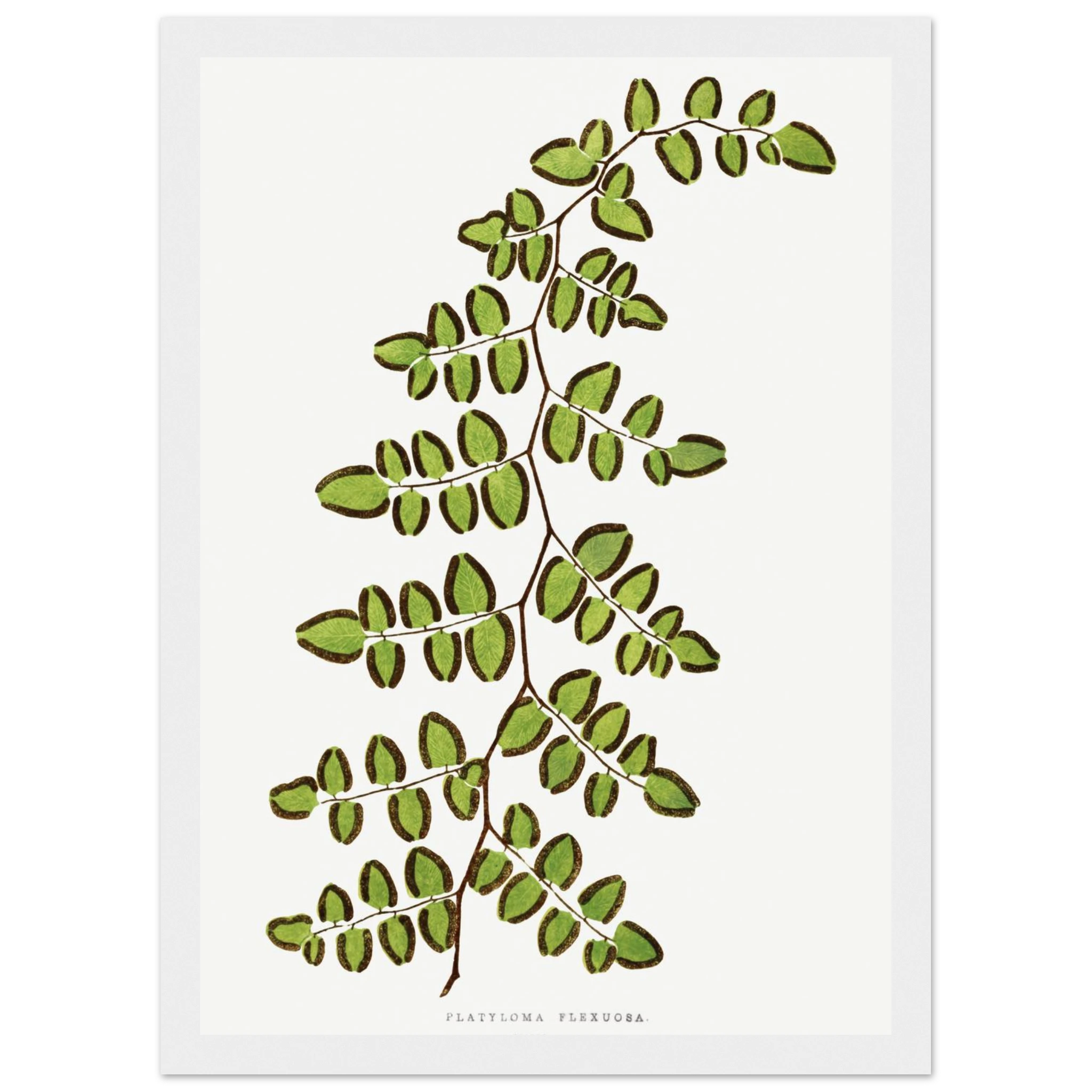 370c5d62-f2dc-4c3d-b0b5-940a9669f410