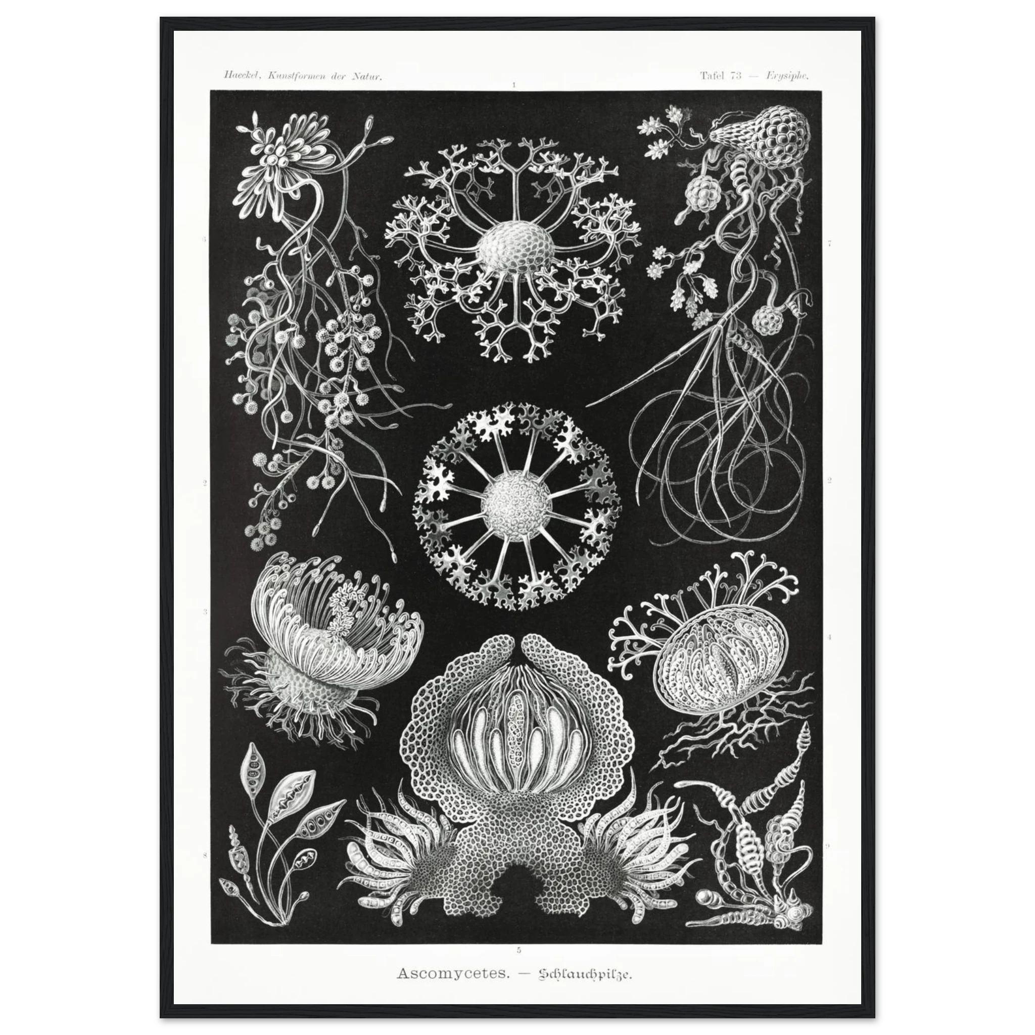 371c68da-4247-486c-82a4-997029f87393