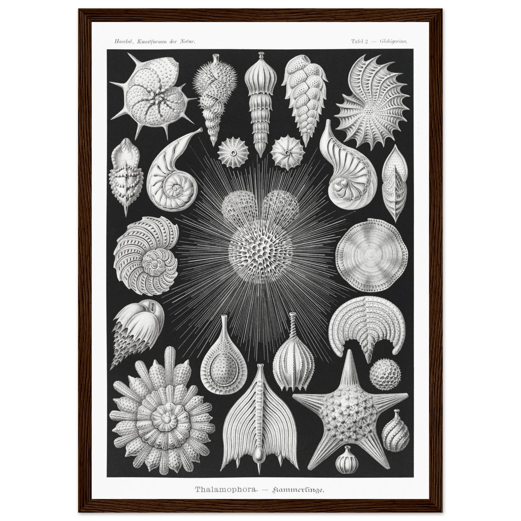 372ed85b-d83e-449d-aa16-d1567c2e7862