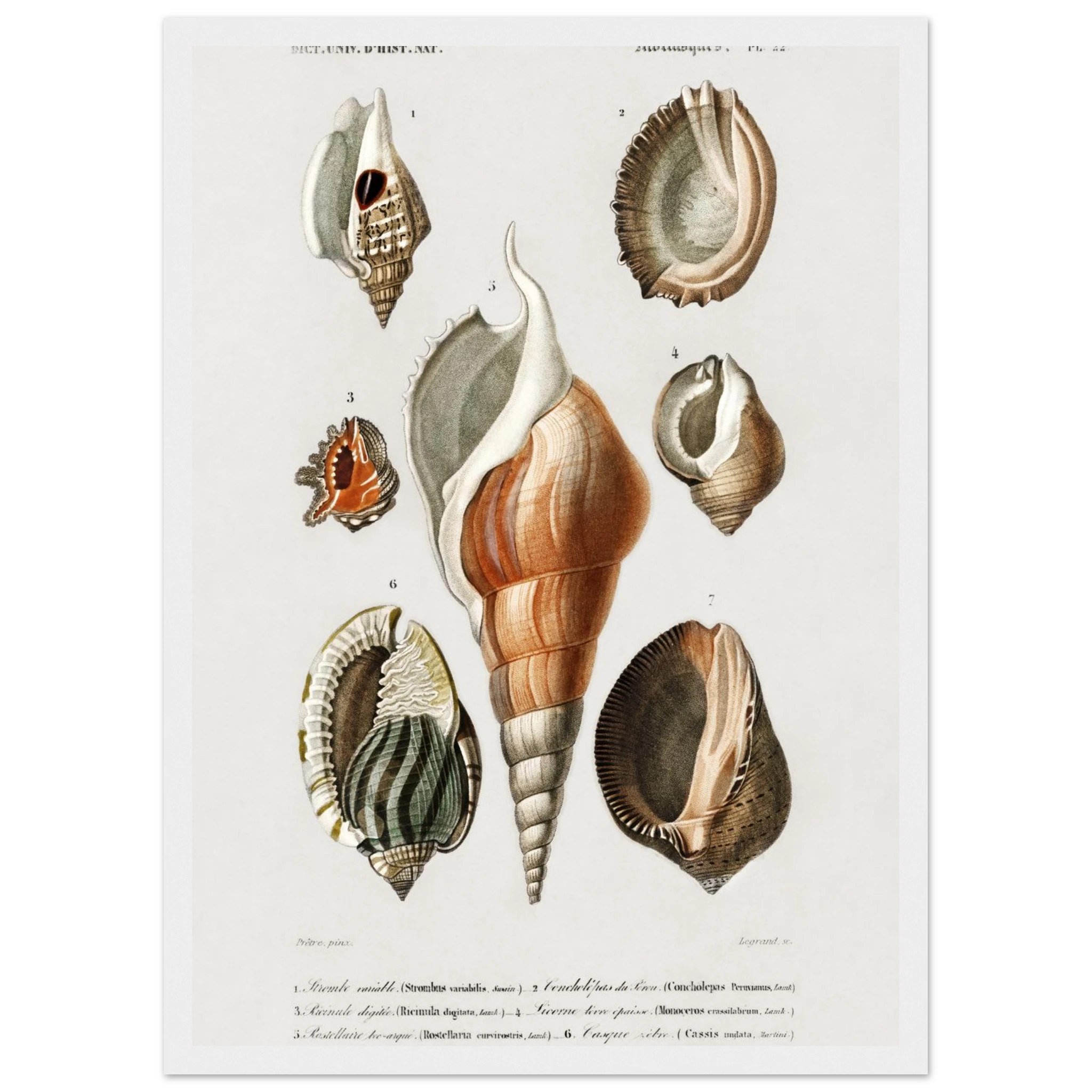 3756fa1c-4263-4c2c-b6b0-8a270807bba8