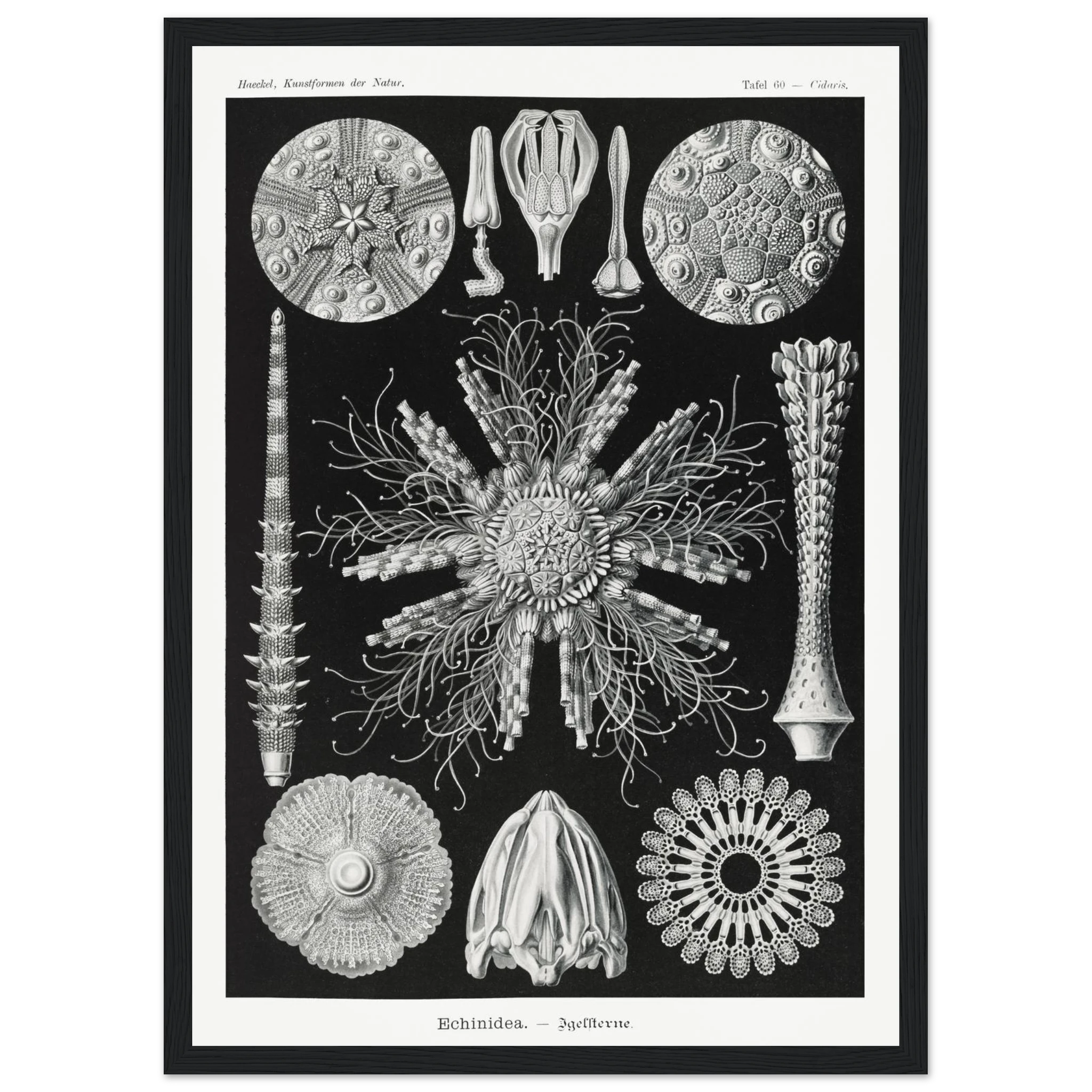 377e6d55-bff2-468e-97ff-1b76cf71975e