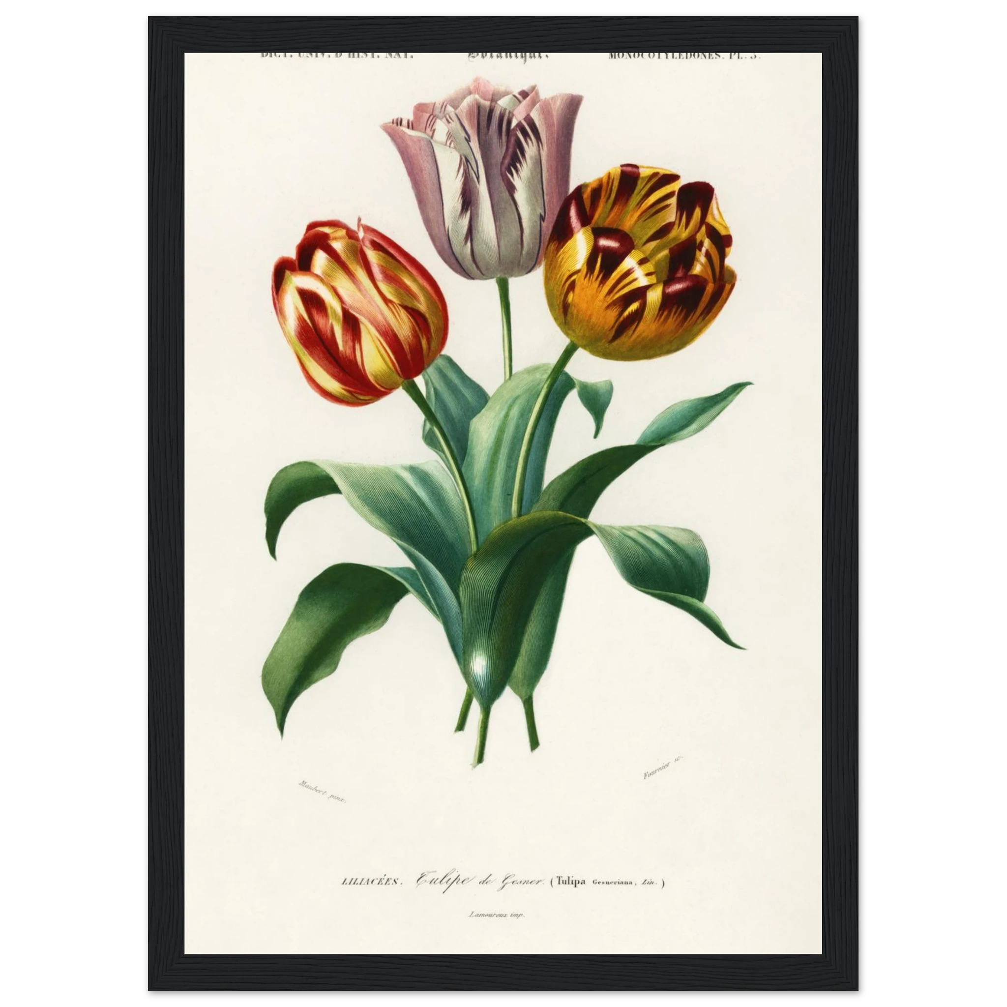 37b55ddd-d556-44b1-a8b0-4fe4e0ed6f30