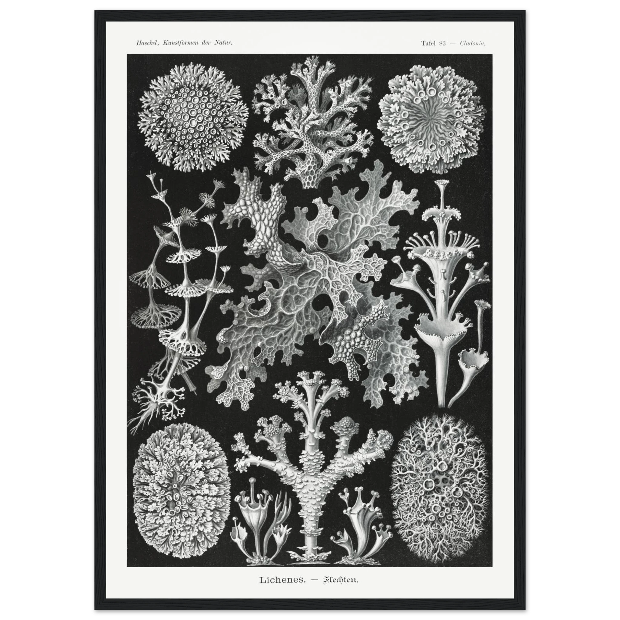 37baf4c9-156a-4ace-8a02-28cdb7a72620