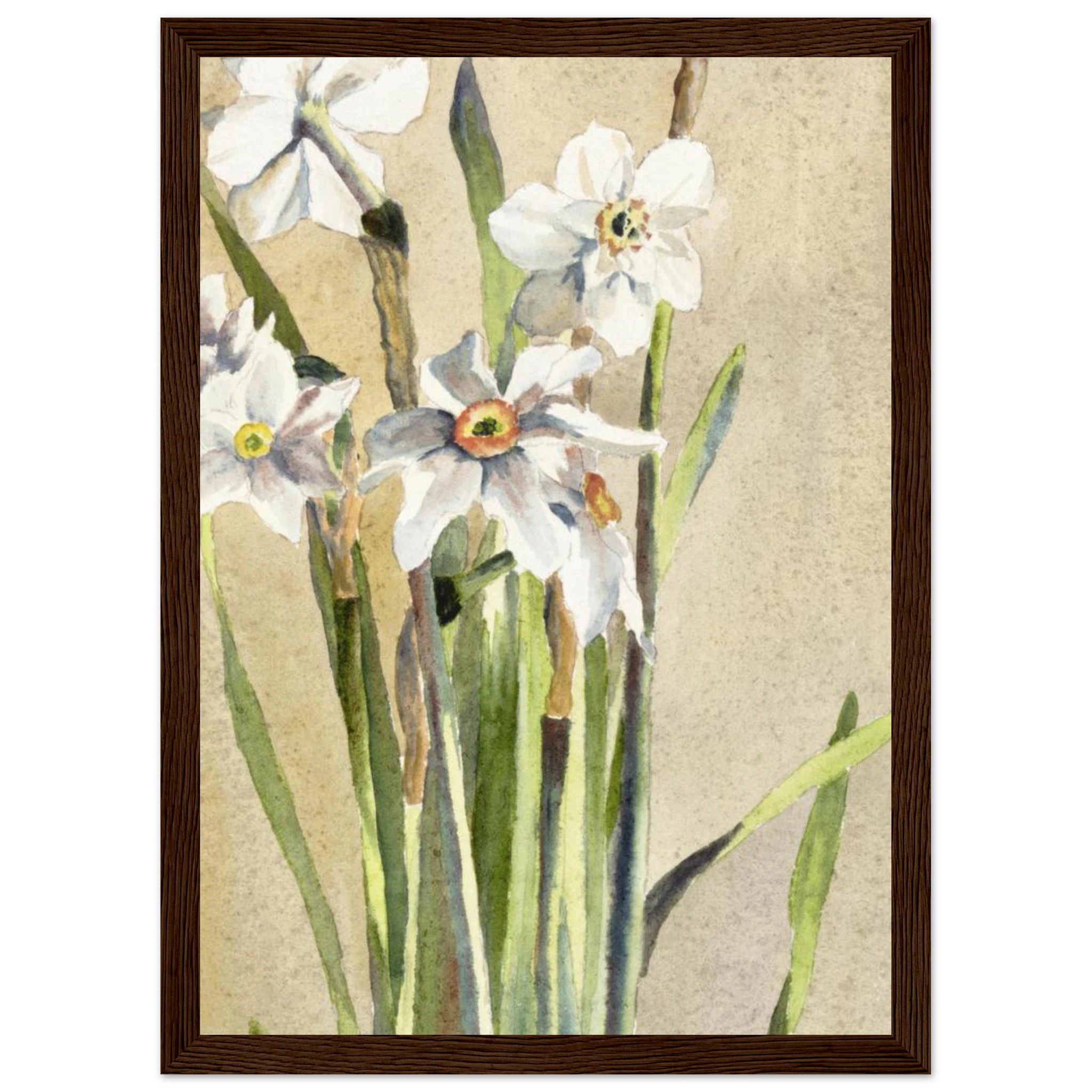 3855a67d-5e0a-4a95-9fcb-c7d157dbdfb9