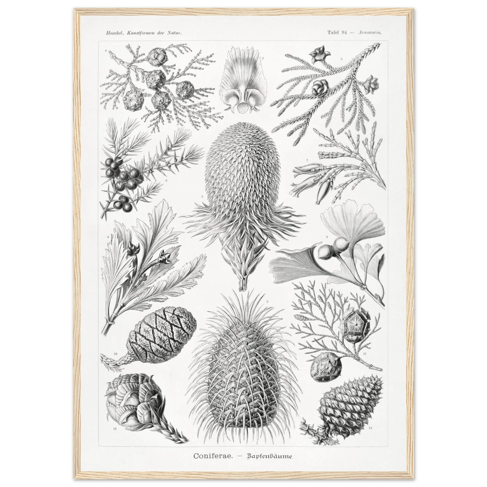 38804901-14f6-4992-83de-4a46246f0896