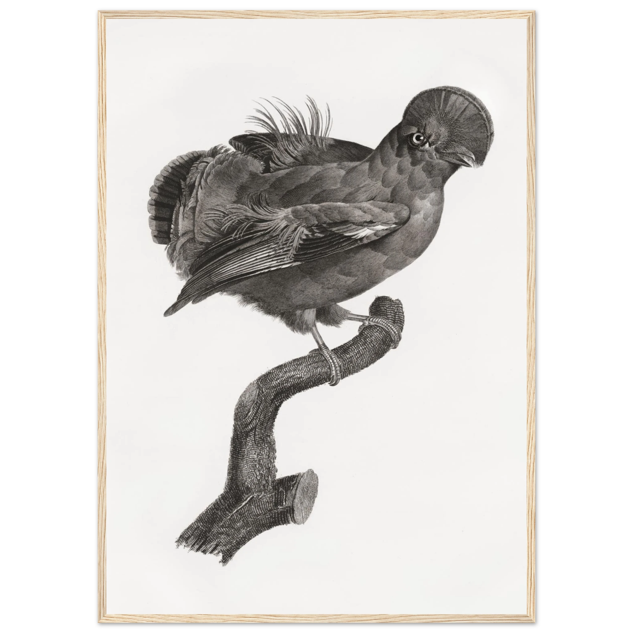 38bf55db-f6f8-4969-ab5a-7707017d0df9