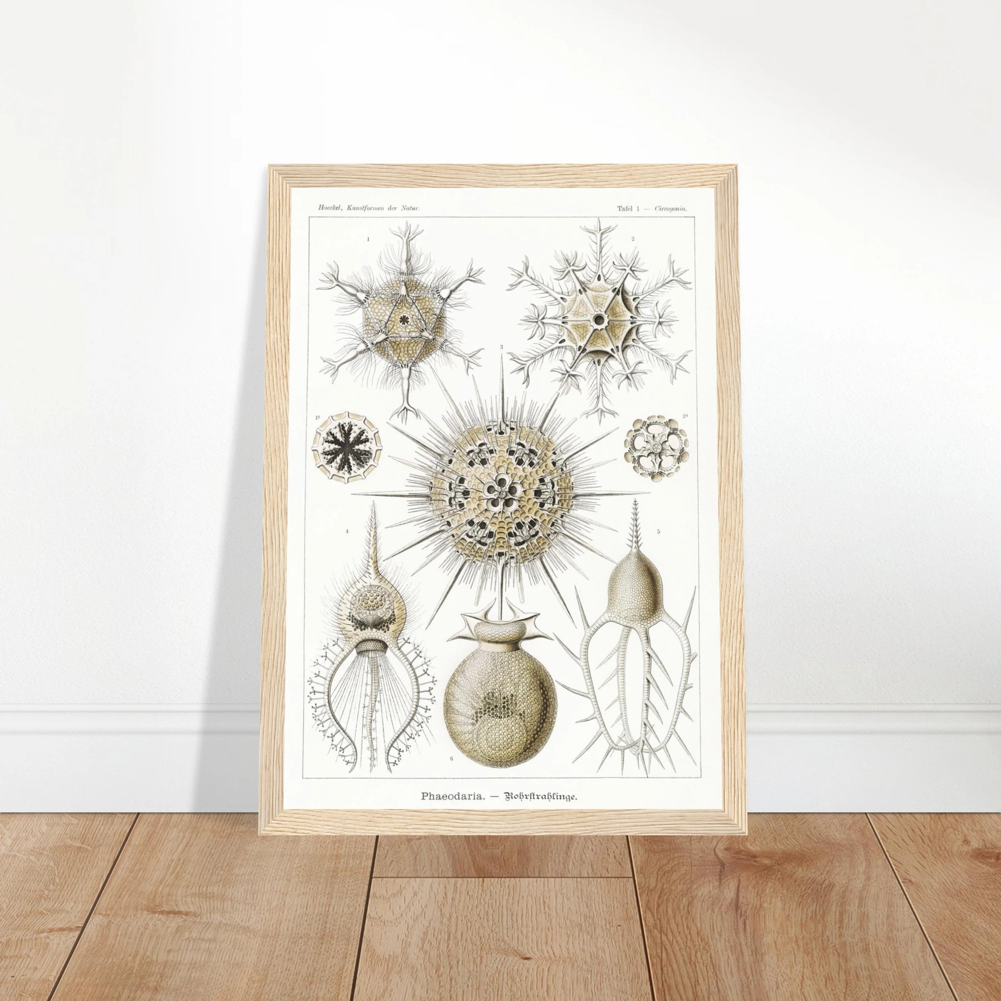 38c8086c-e9d4-4326-a9f0-ad1465642452