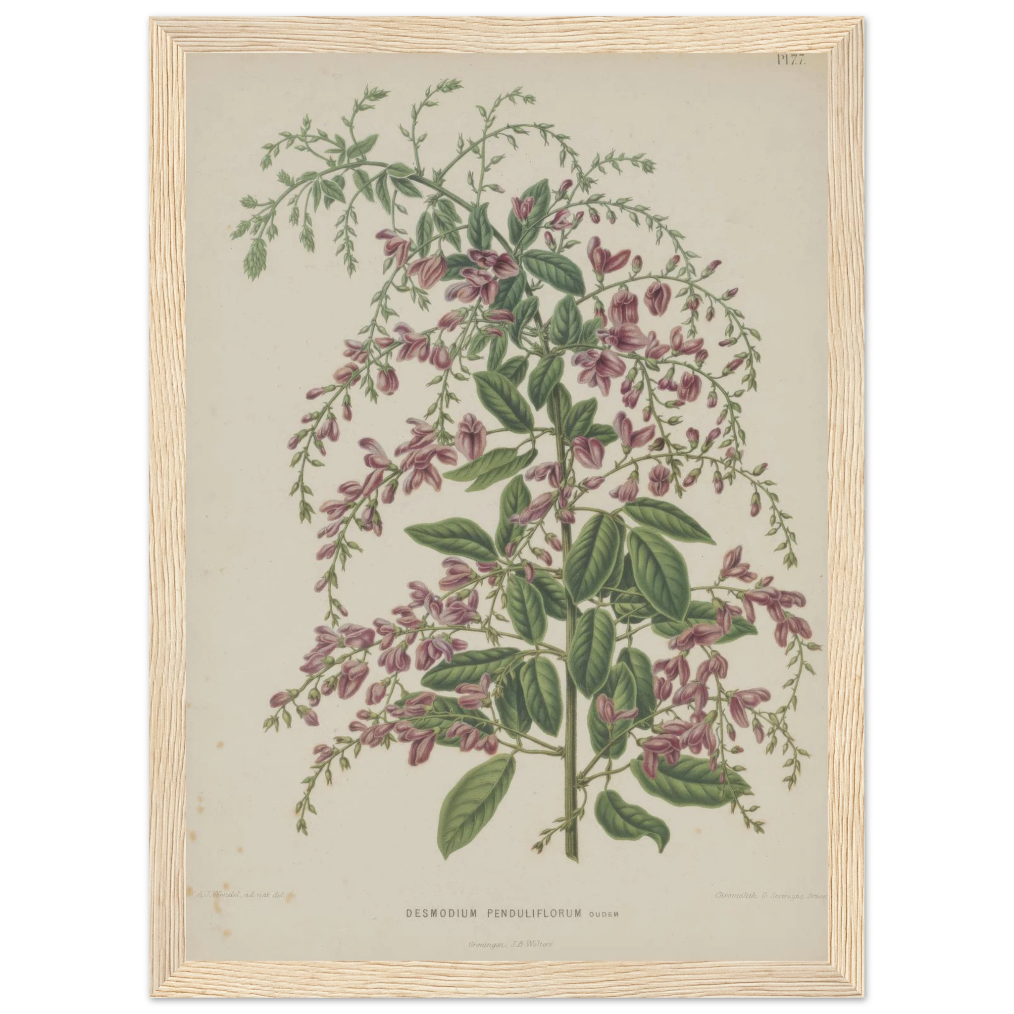 38e2d010-9734-4b28-a53b-b0b872534446