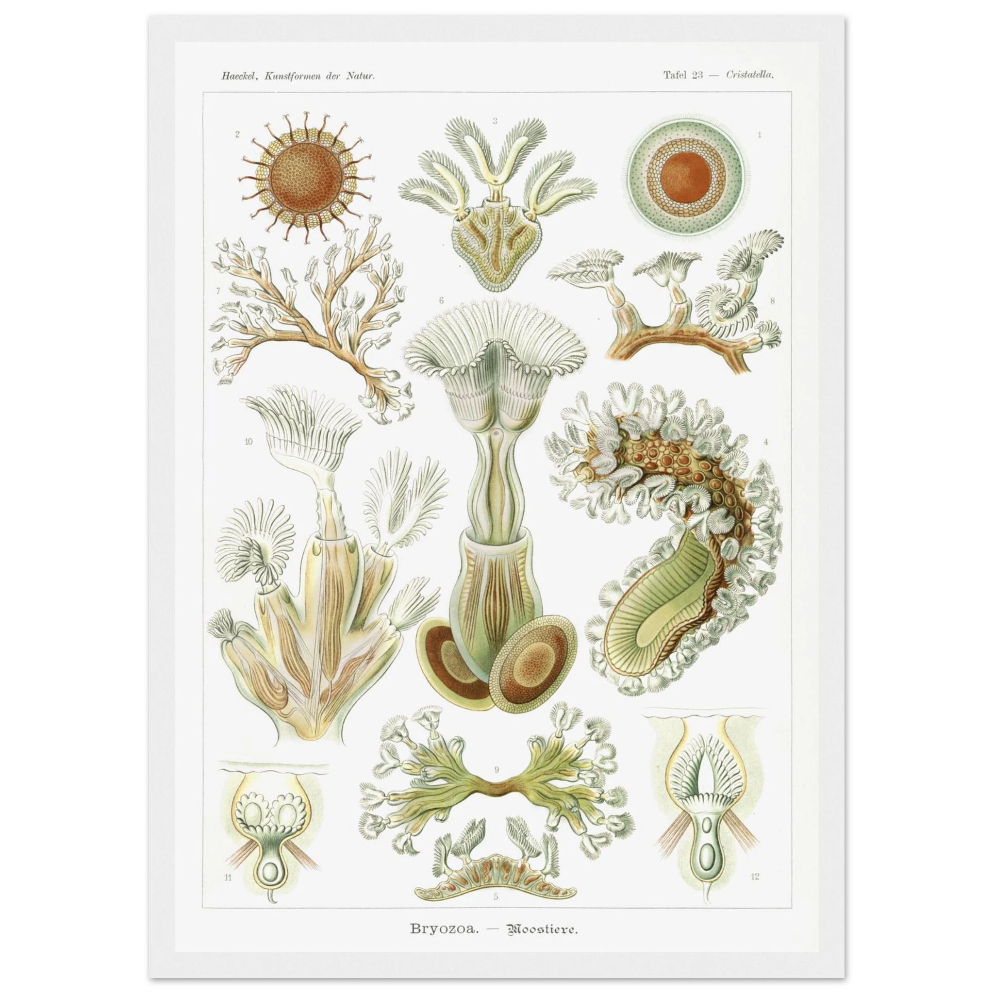 38fd5d33-a8db-4f83-b8dd-77540bf97c50