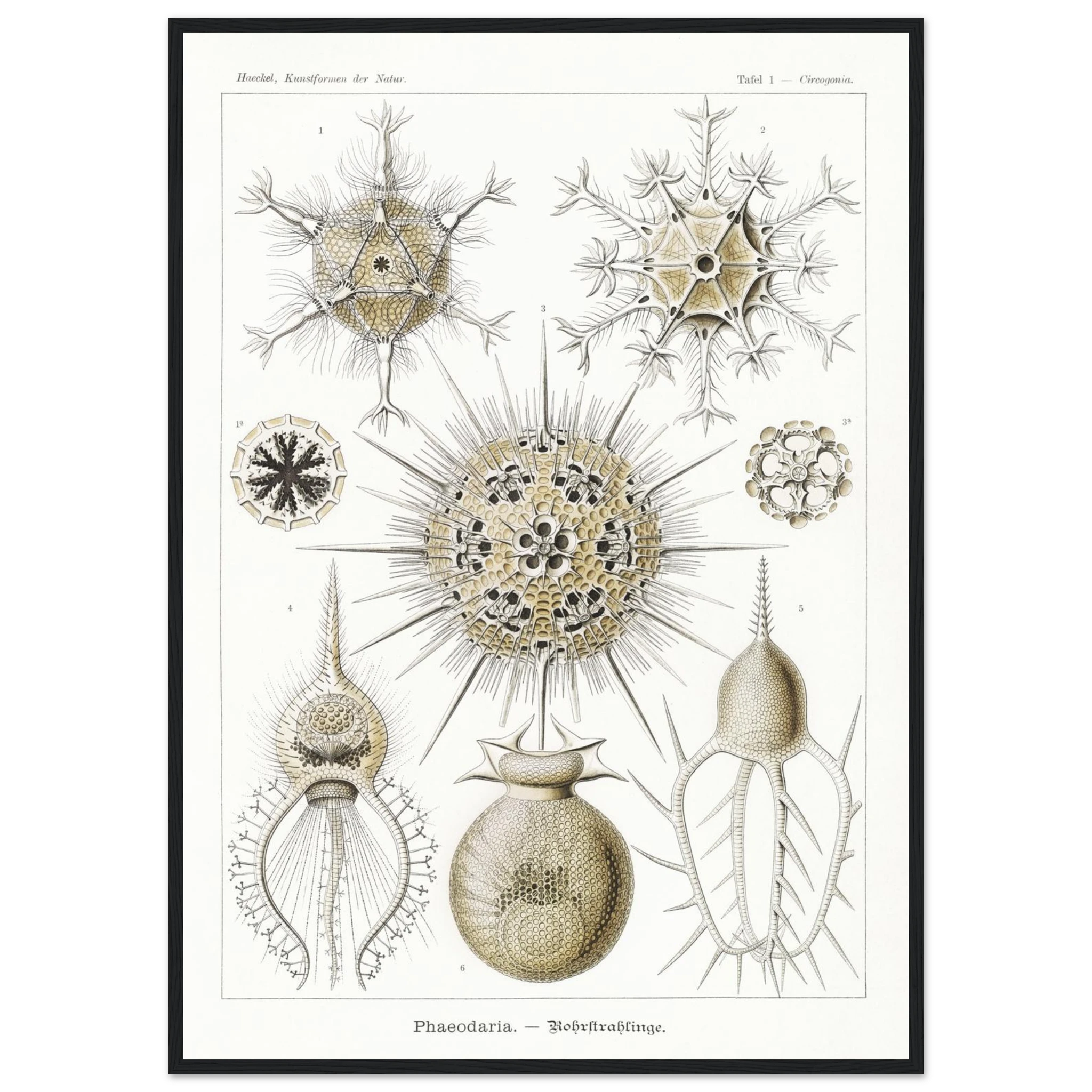 395f4101-282b-4e55-9129-45942e92b5a9