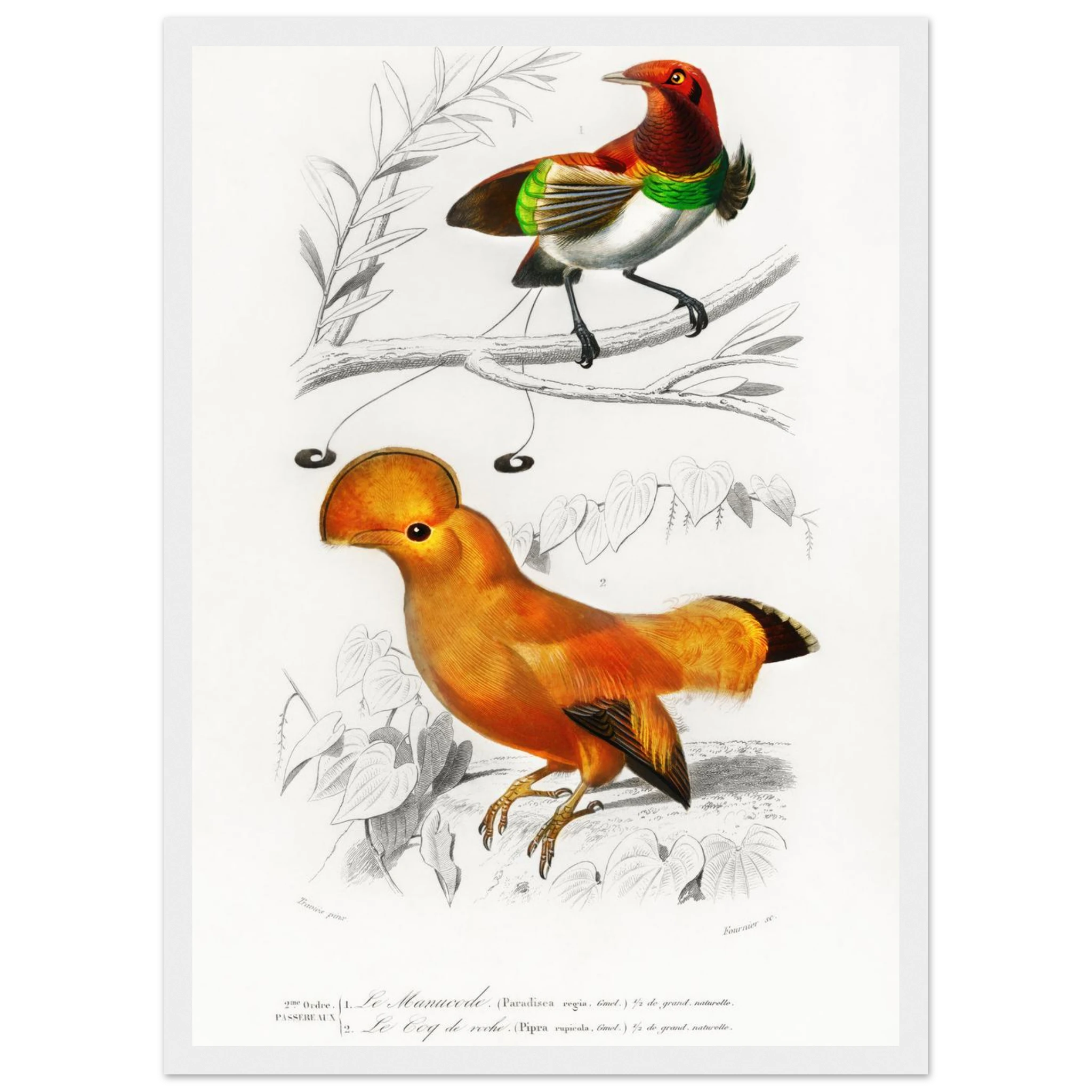 397472ec-4d64-45c7-9b79-15285ad5646e