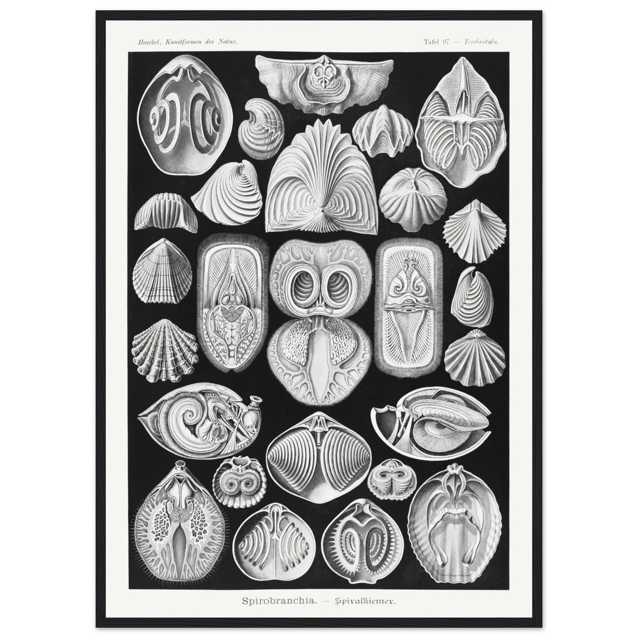 39b044a4-232b-4999-8594-5b18174985f8