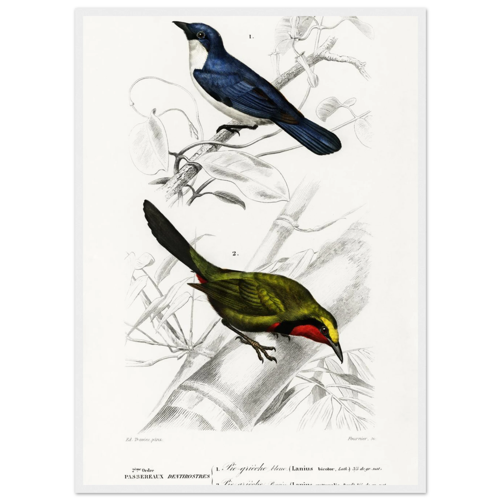 39e81f77-bde5-44c5-a1f4-f639e4f7f45b