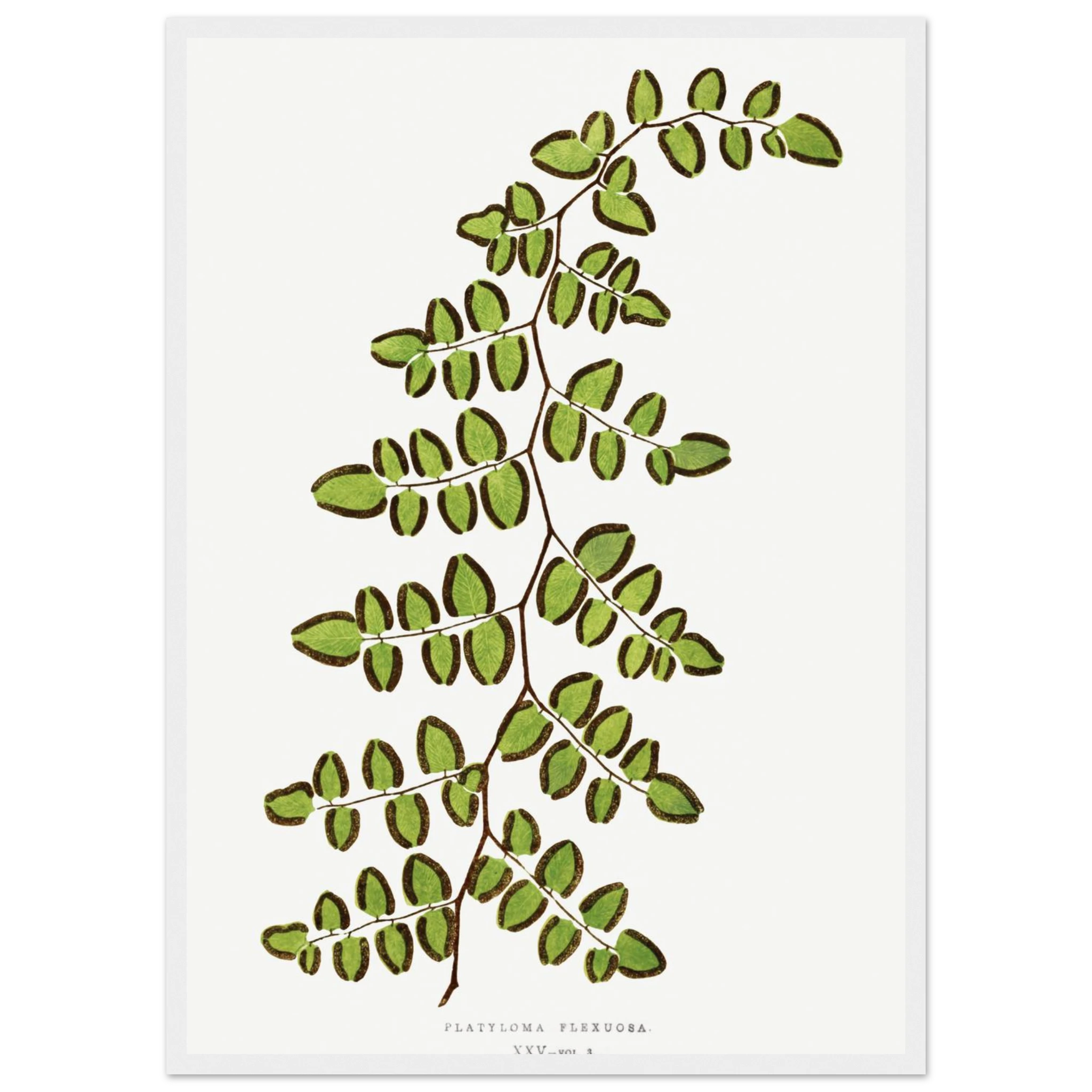 3a2162b7-8dcb-4250-8622-1c8b64d3a636