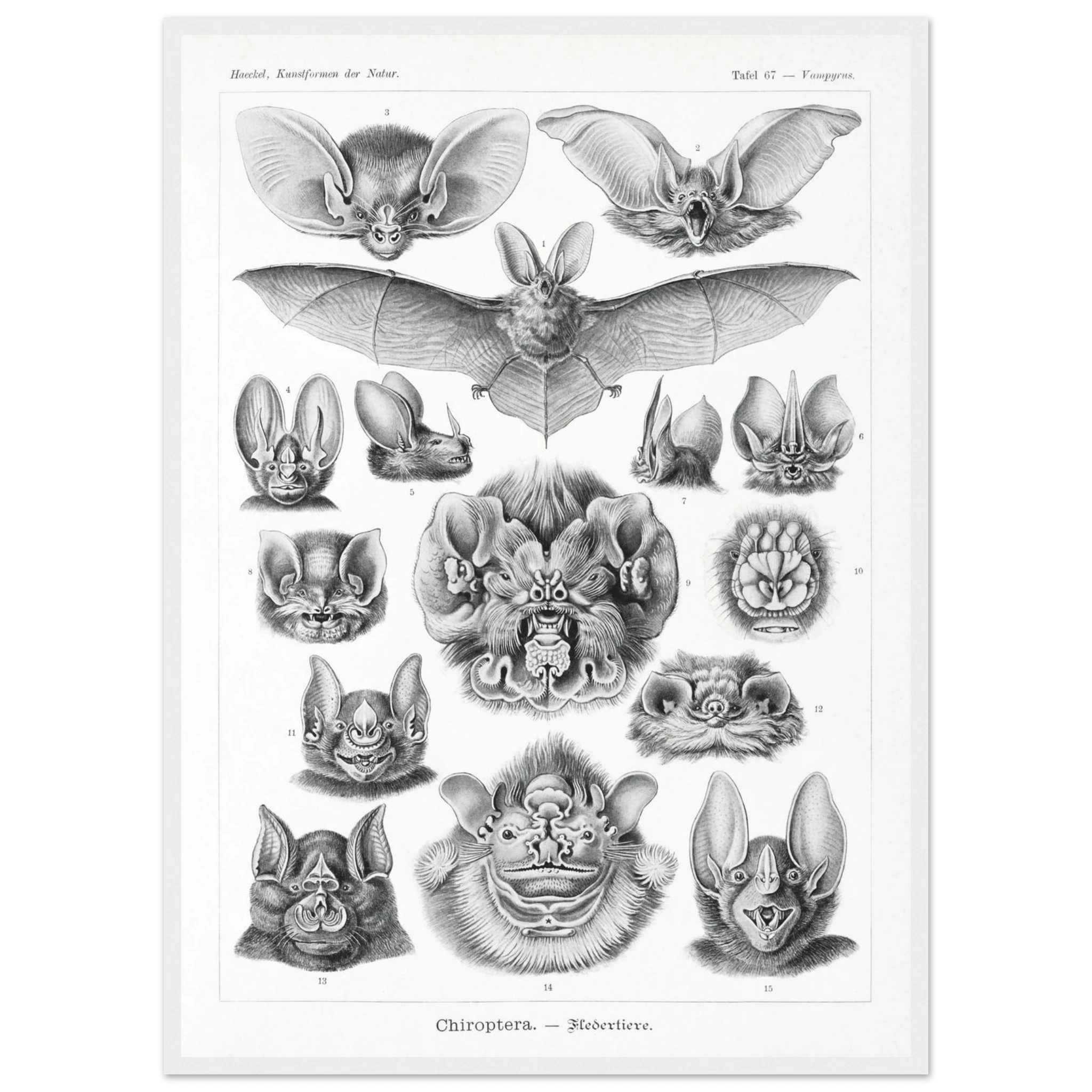 3a23d9a9-1949-4e1e-b1e6-a7315dda6ea5