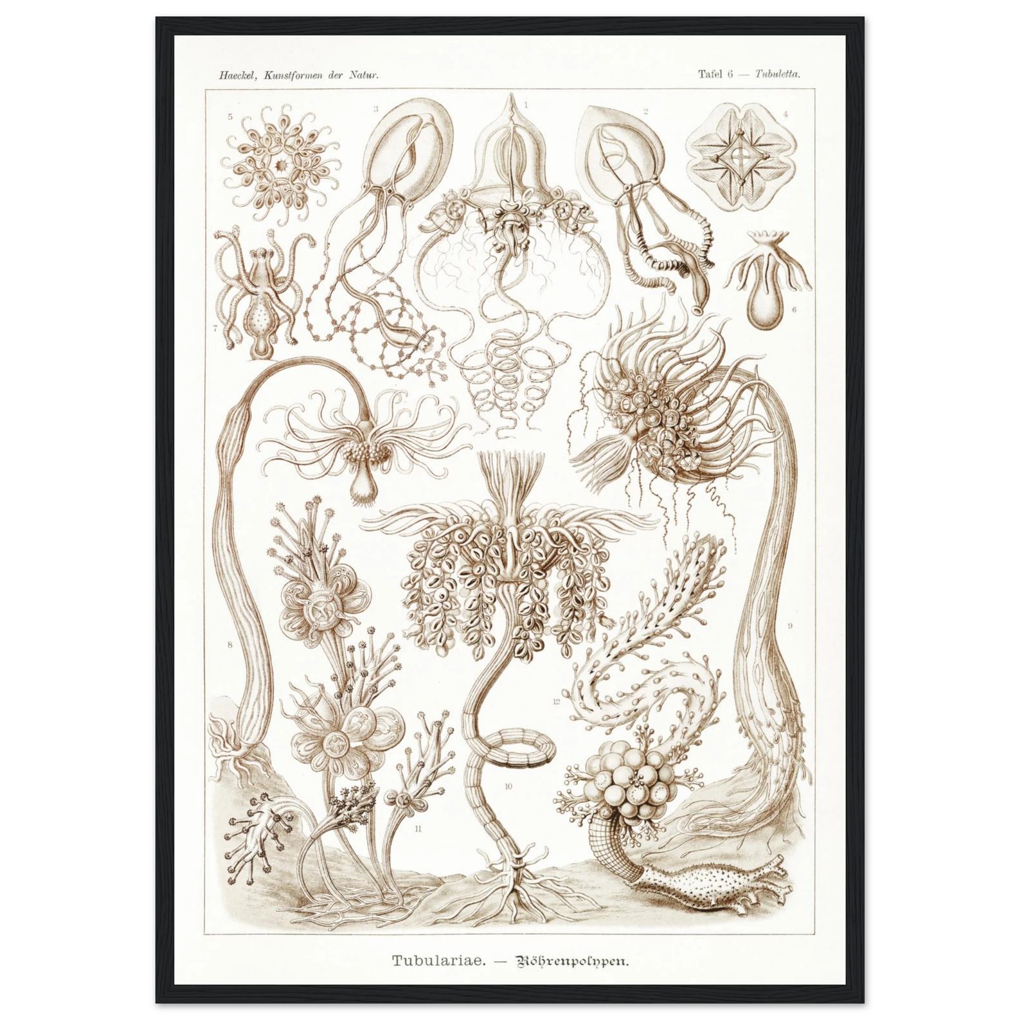 3a6a0b3c-5e21-40f9-9d66-85beccac1288