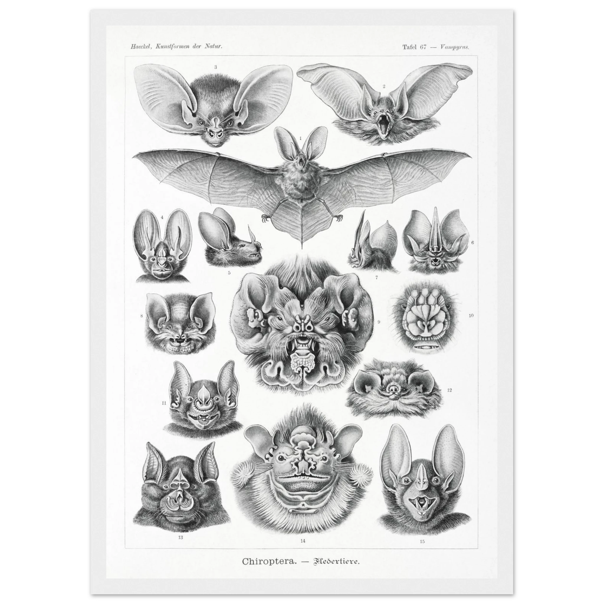 3a91d4f5-906f-47e7-8938-fe4de220145e