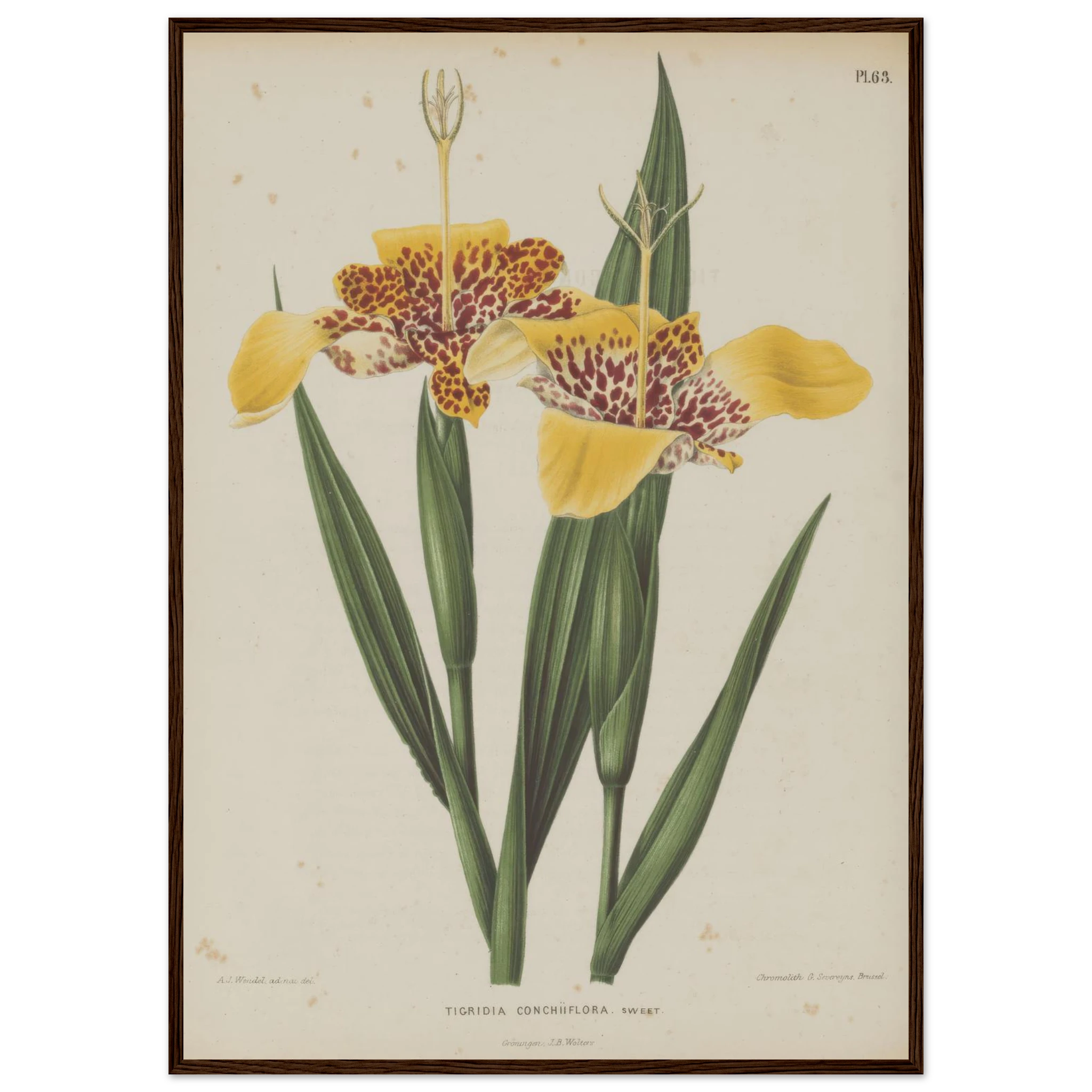 3b4c3cc8-943c-4510-b18f-7687234c8530