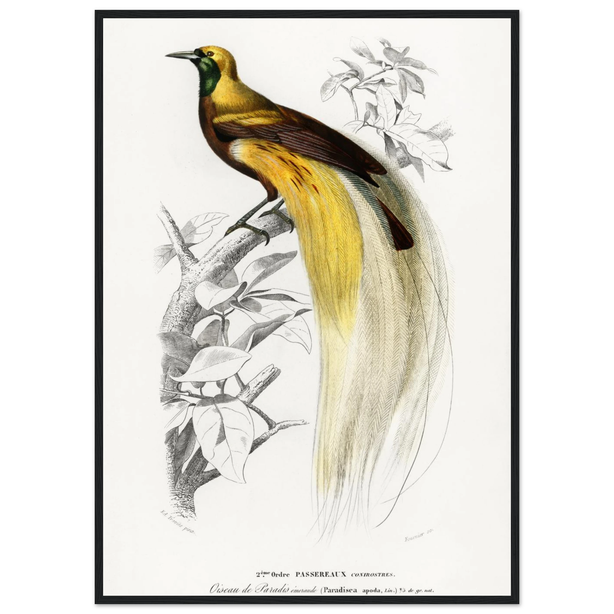 3b714553-f5b7-443b-8ce8-e4e5887e1d3e