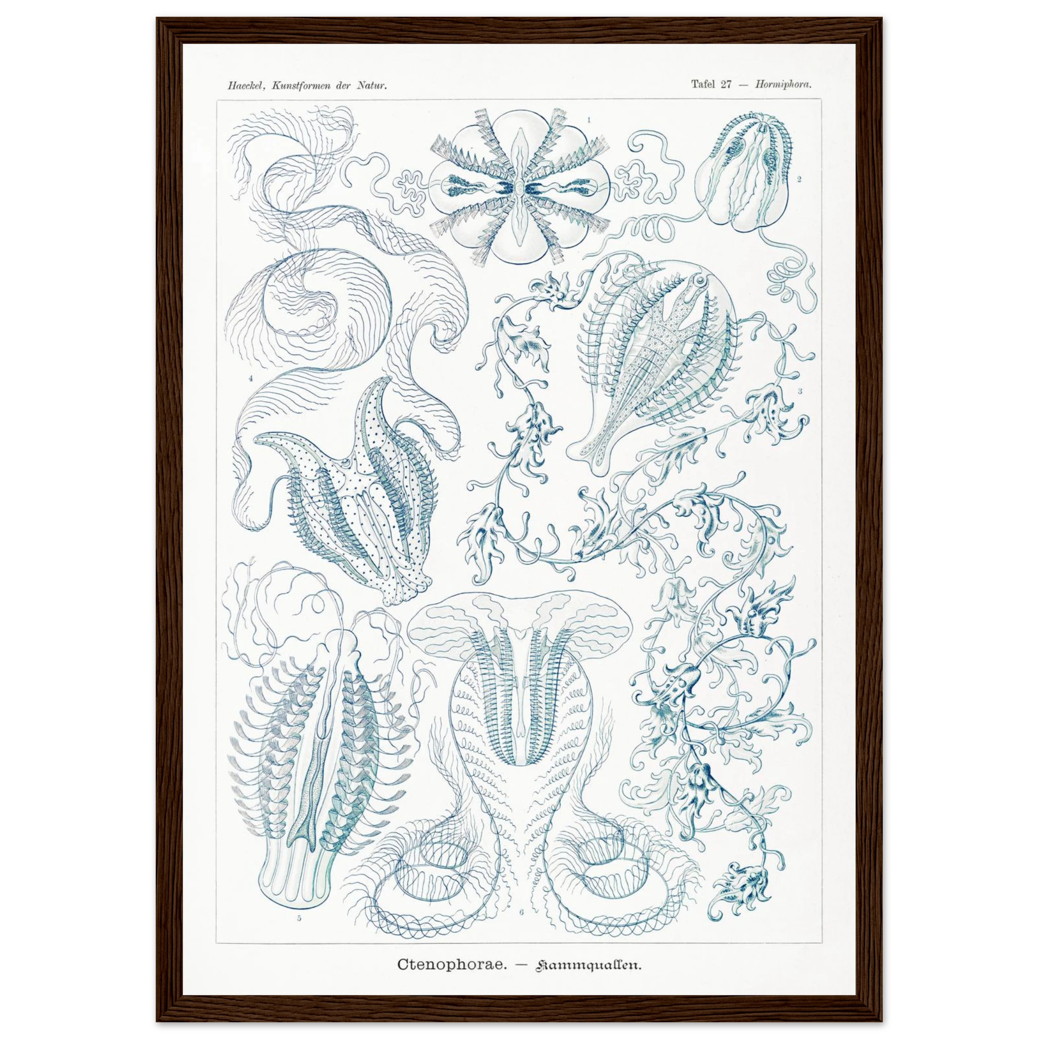 3b9d8603-0cd5-42a6-a780-ef07701cd38f