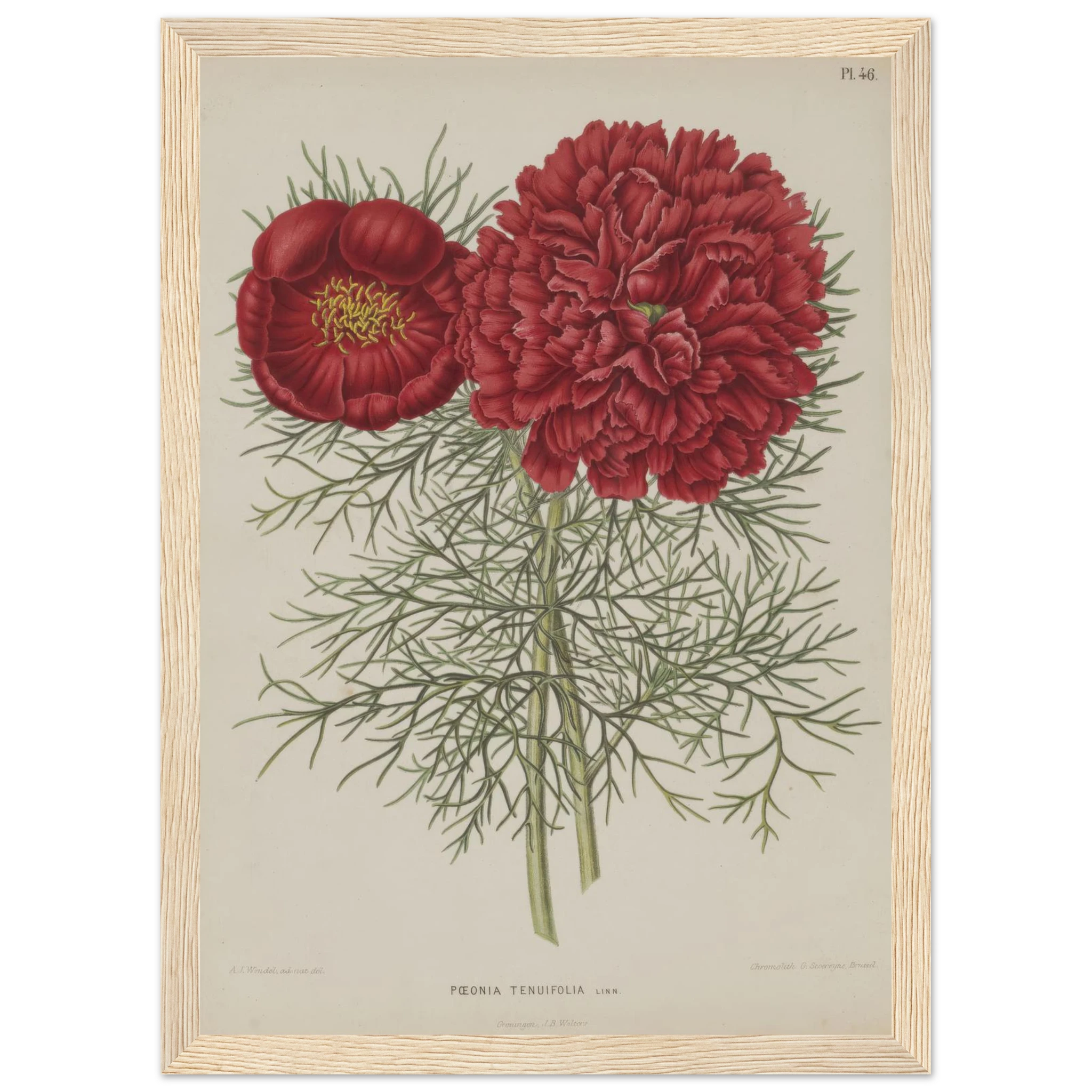 3bb80c53-6ce2-45c6-bc78-f583fef5dd35