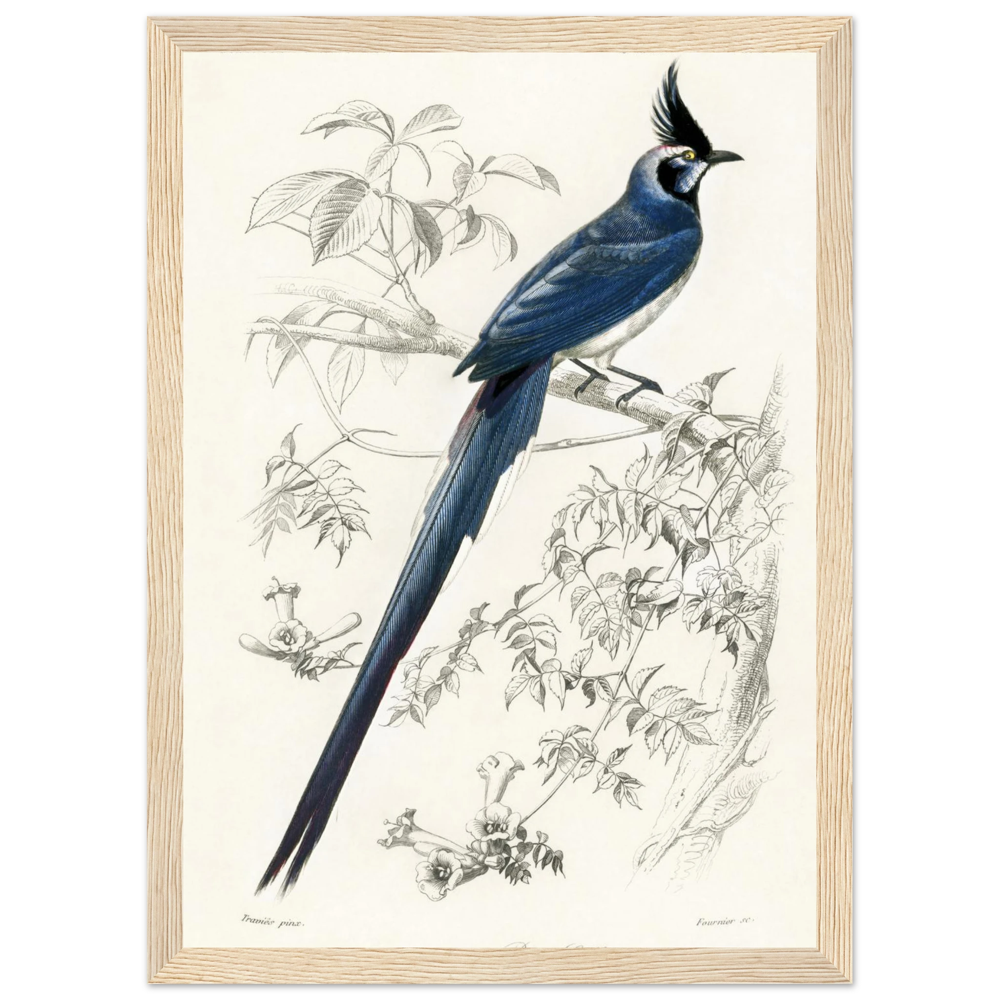 3bf6bc09-b97f-46f4-b53a-4f20e80154a2