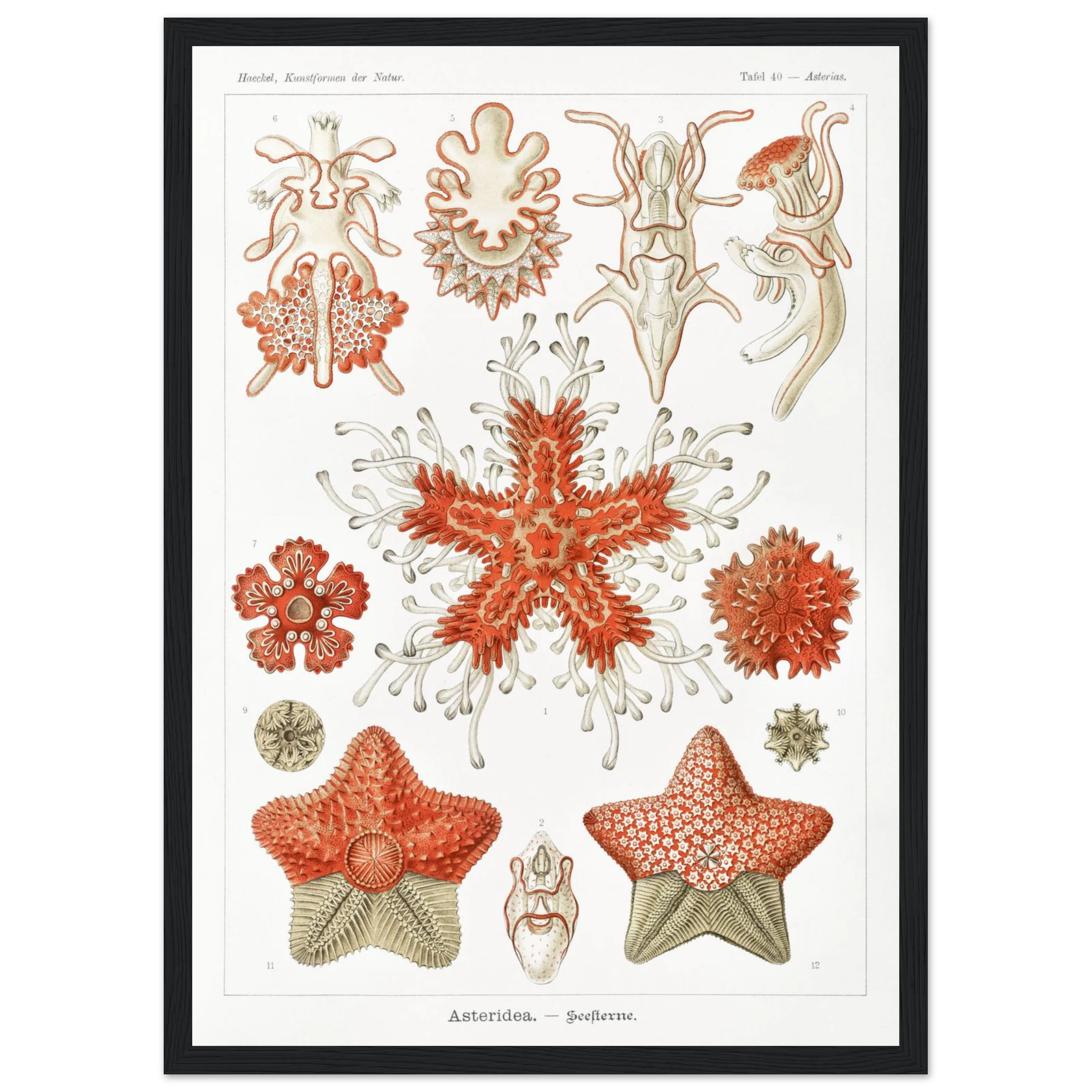 3c1f7b0e-7a99-4a6b-973f-c467ad2911d7