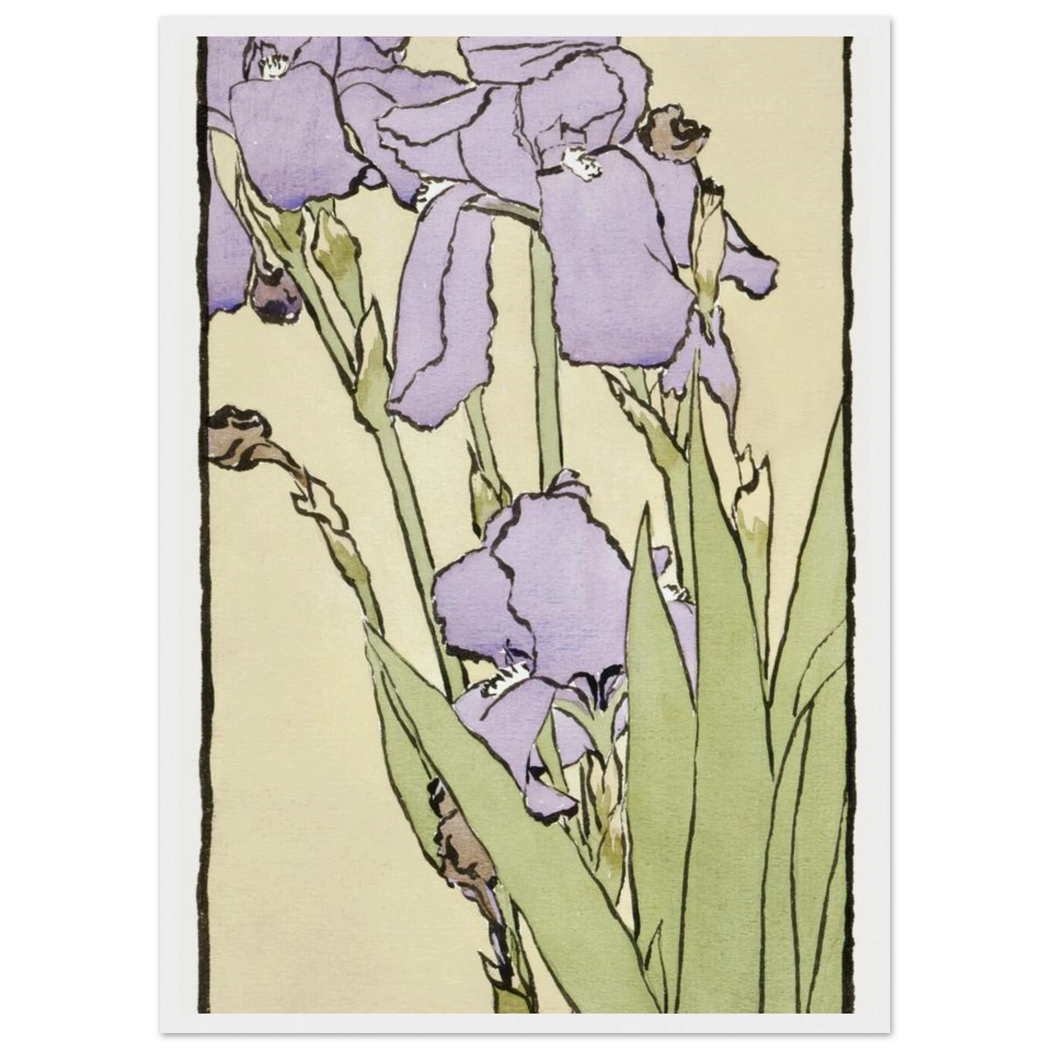 3c36a3f8-80bb-475b-b84d-dd1857789185