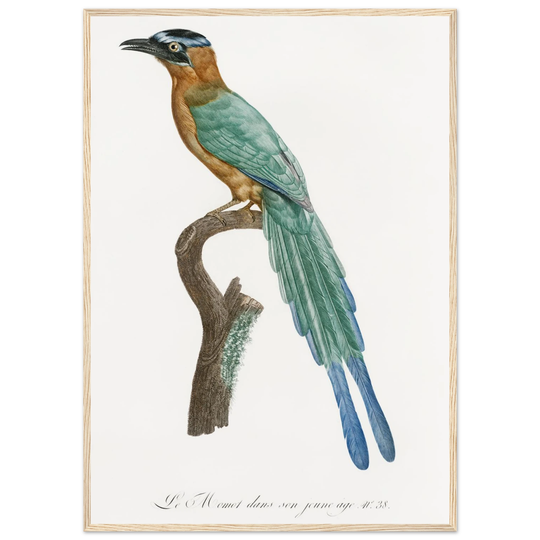 3c535b93-c3ef-44c8-bb7b-ec6fdc213b5b