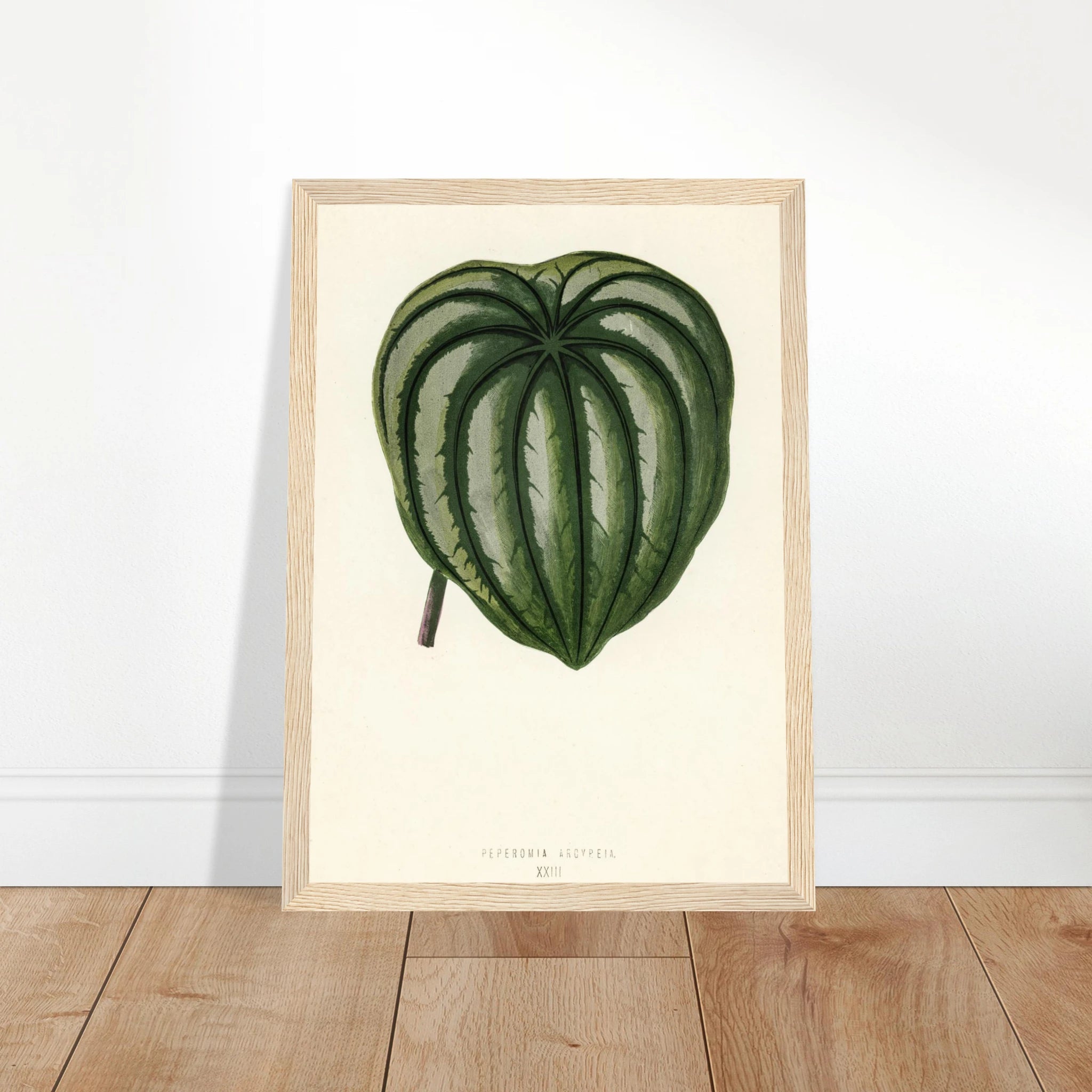 3cb9654c-190a-4b88-bb4a-bd59c00d8001