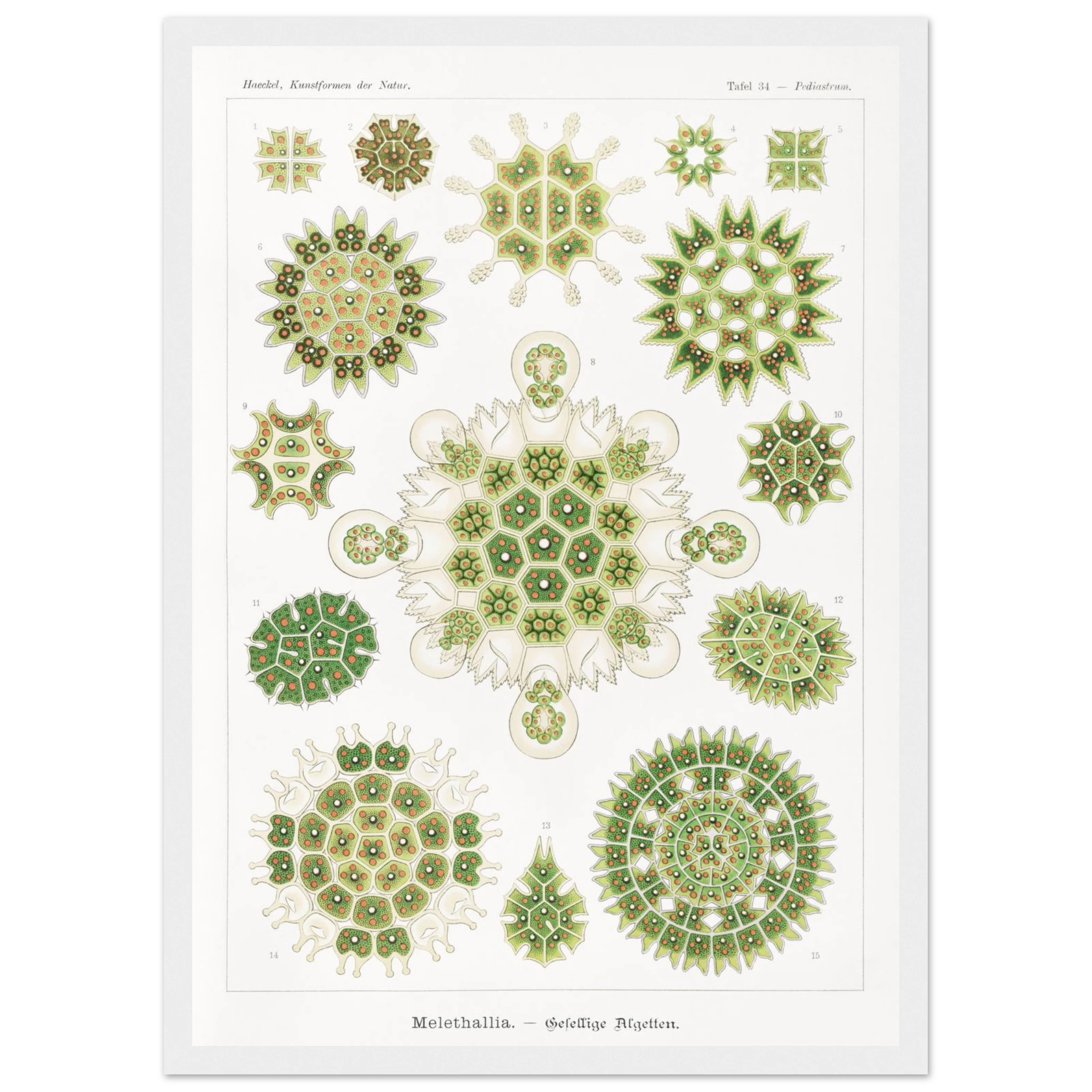 3cc74ad9-6a0e-499b-9d22-9ee614847c45