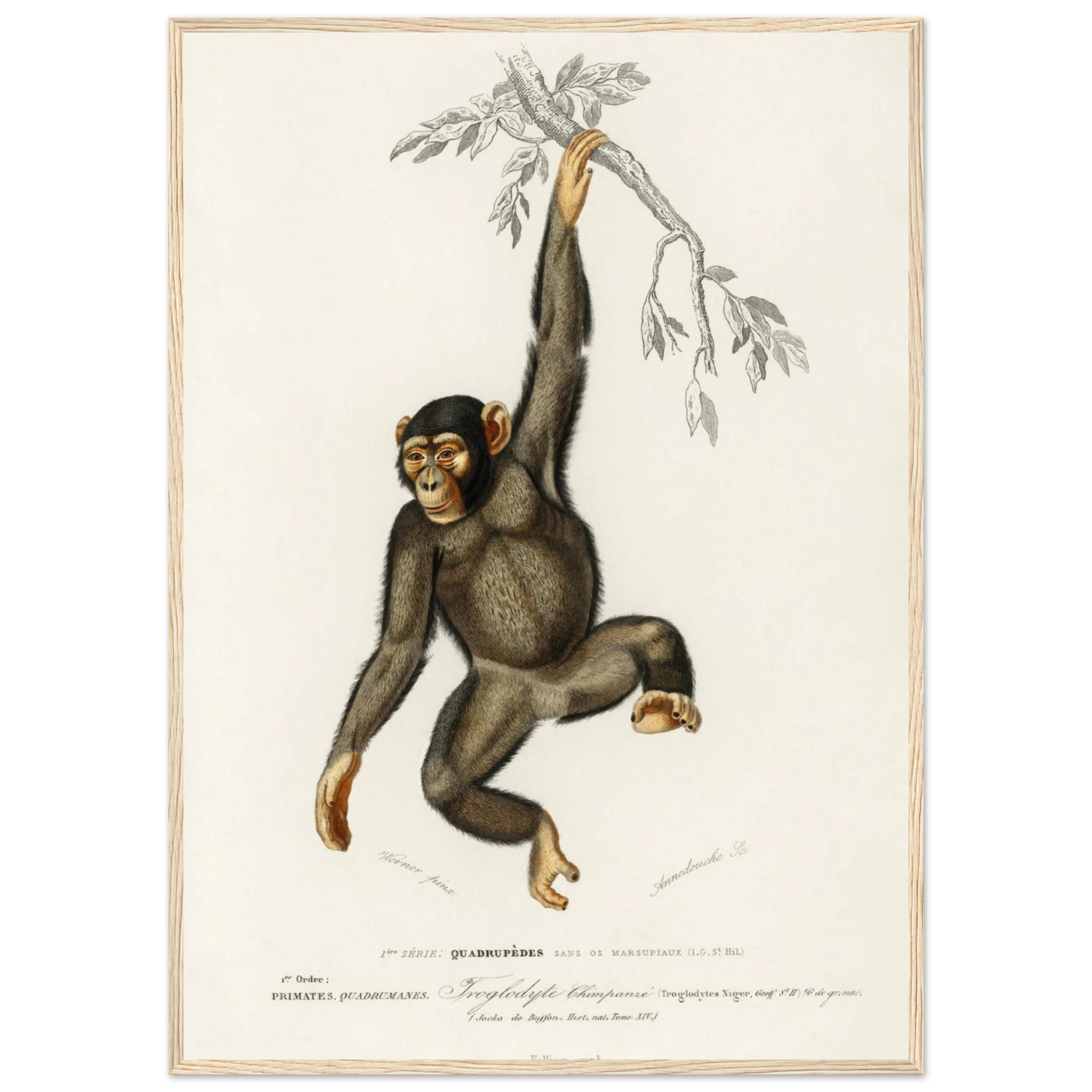 3cea01ce-7a3c-4a2d-940c-fc76963e7bb9