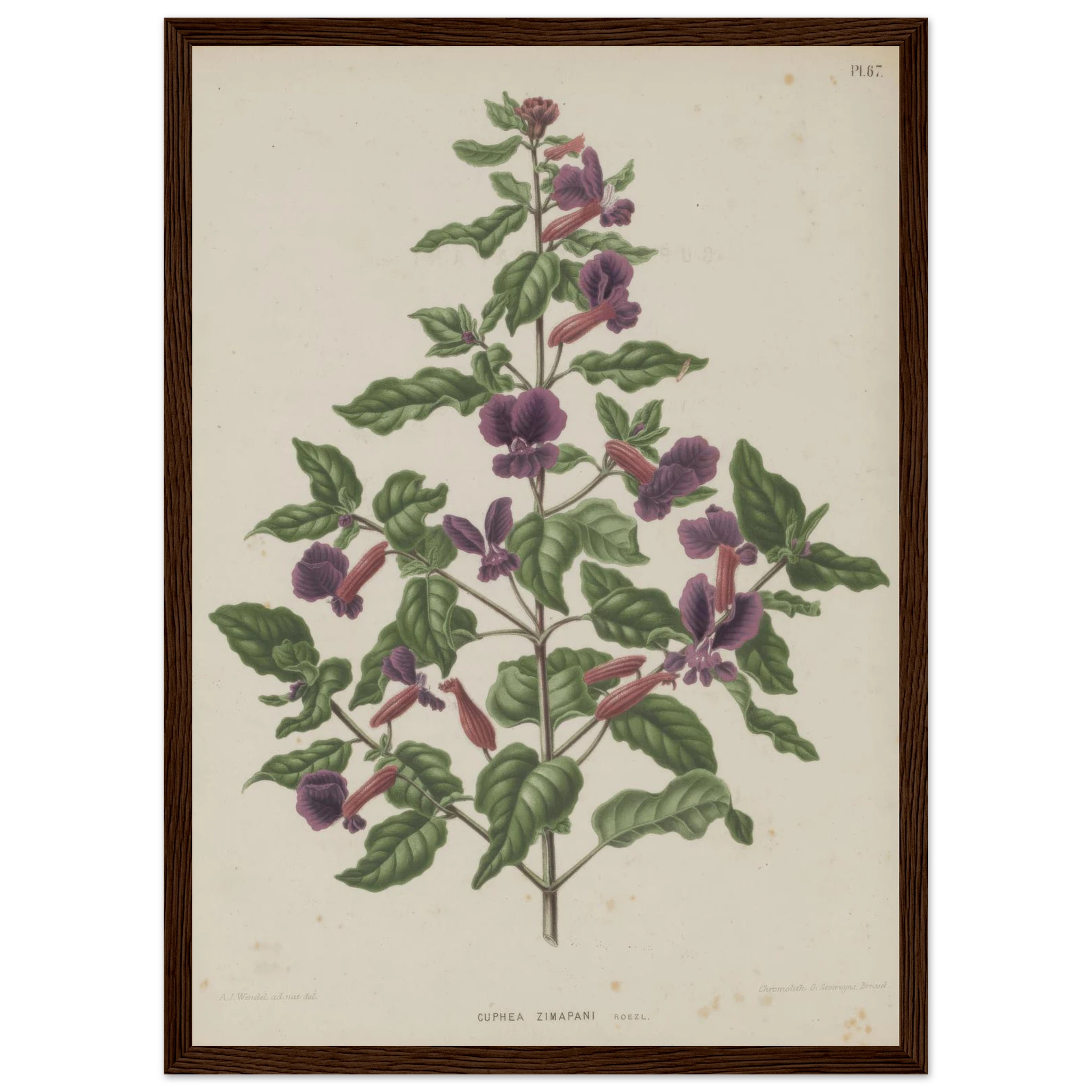 3ceb8d9e-42eb-4d24-9dda-8637796e682e