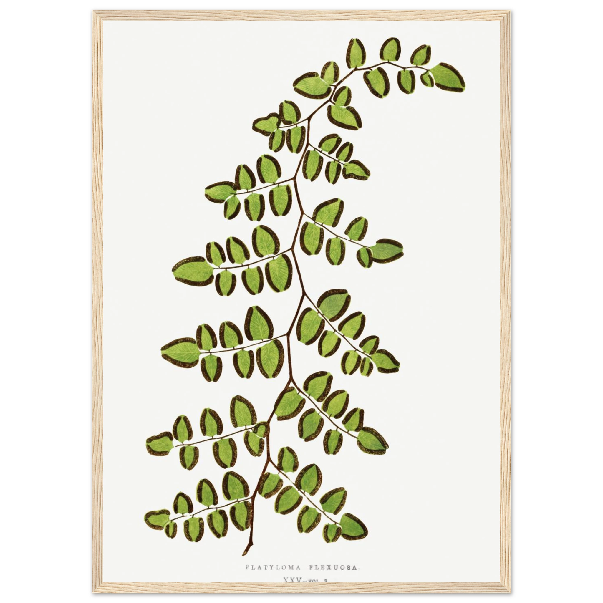 3d0564f9-6149-4a87-91e9-364a7ed9276f