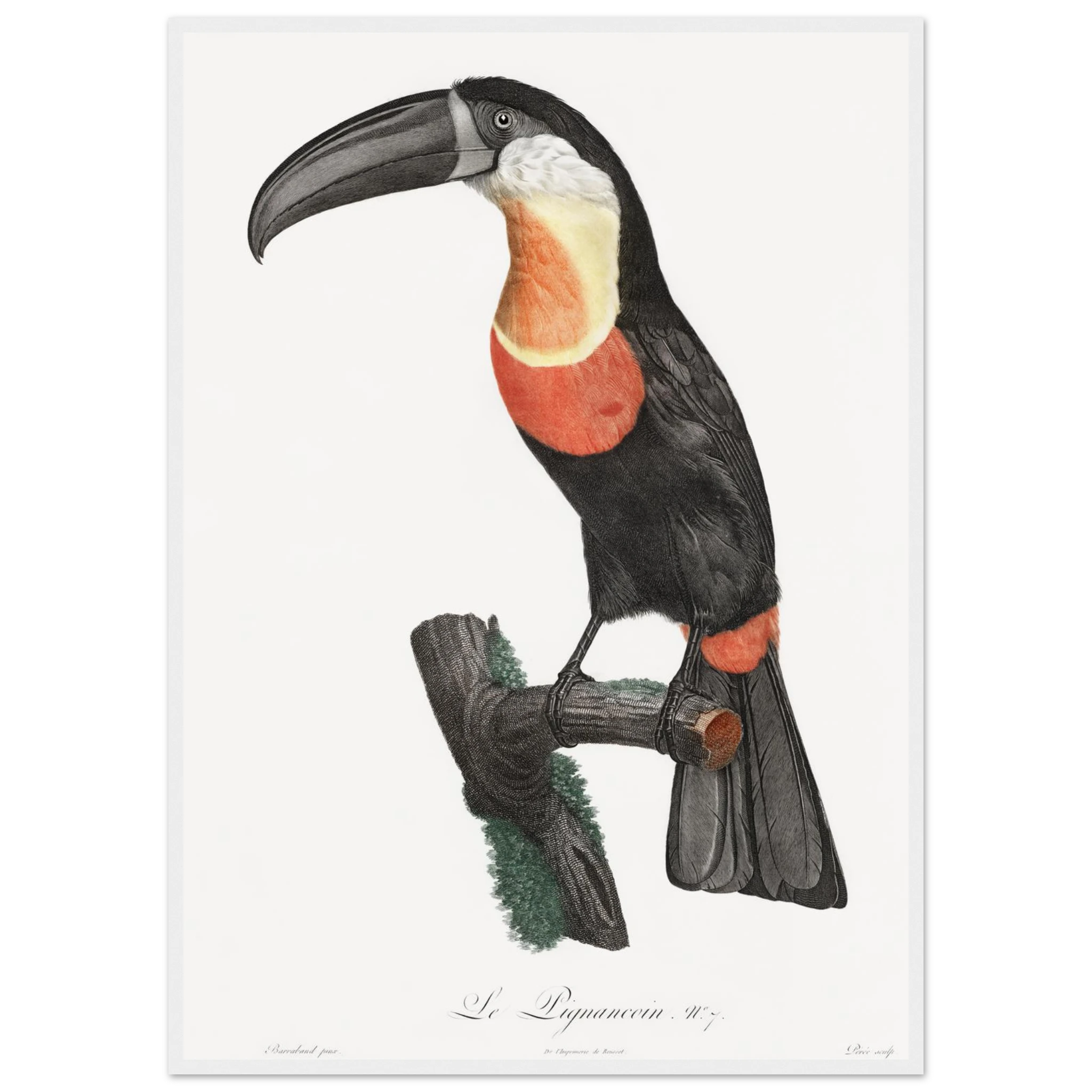 3d11c103-95d0-4f70-9cf2-865ec3981a01