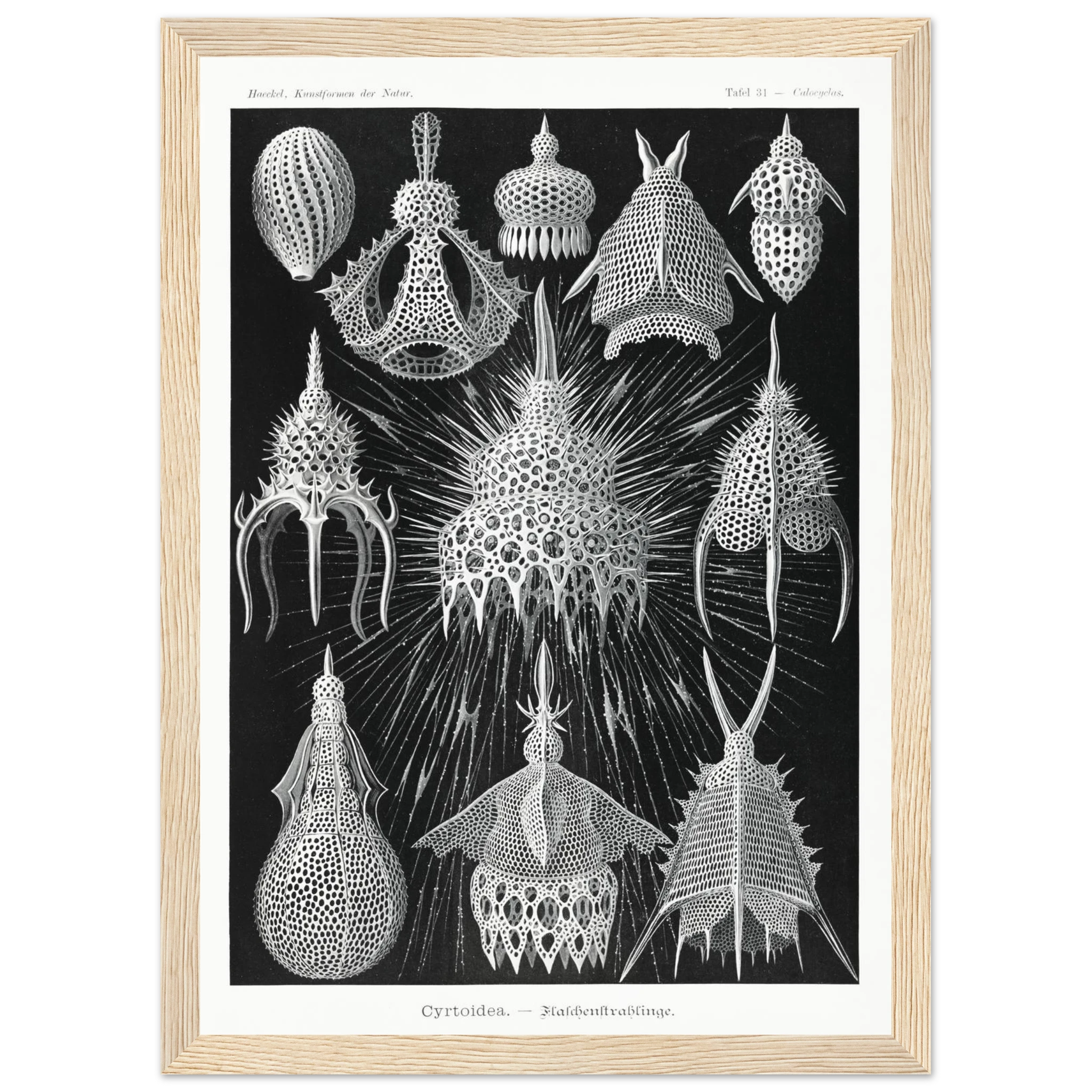 3d19ac88-c194-49df-b2b9-30ea26bc8982