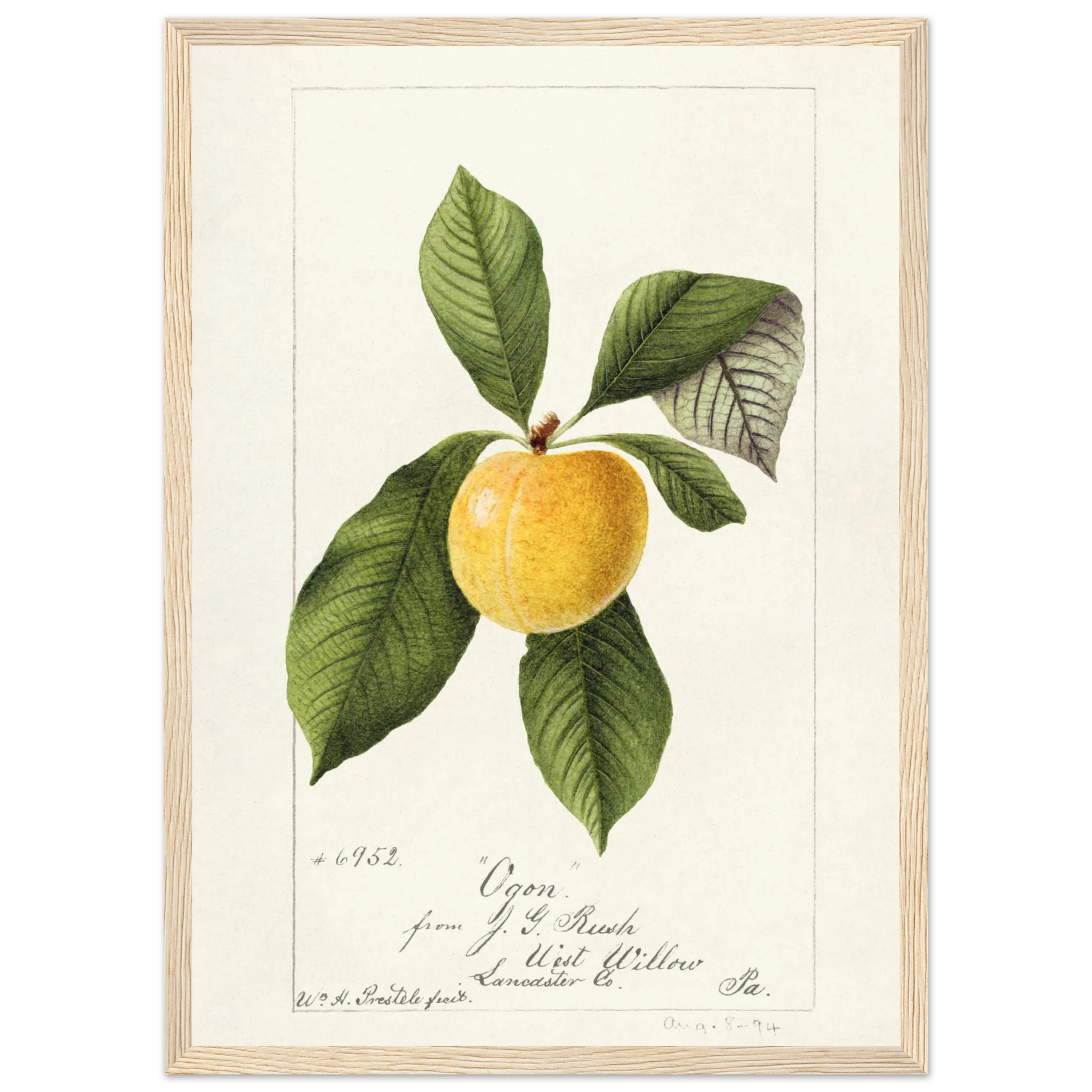 3d2a569c-2dff-4479-b31b-39e84244df31