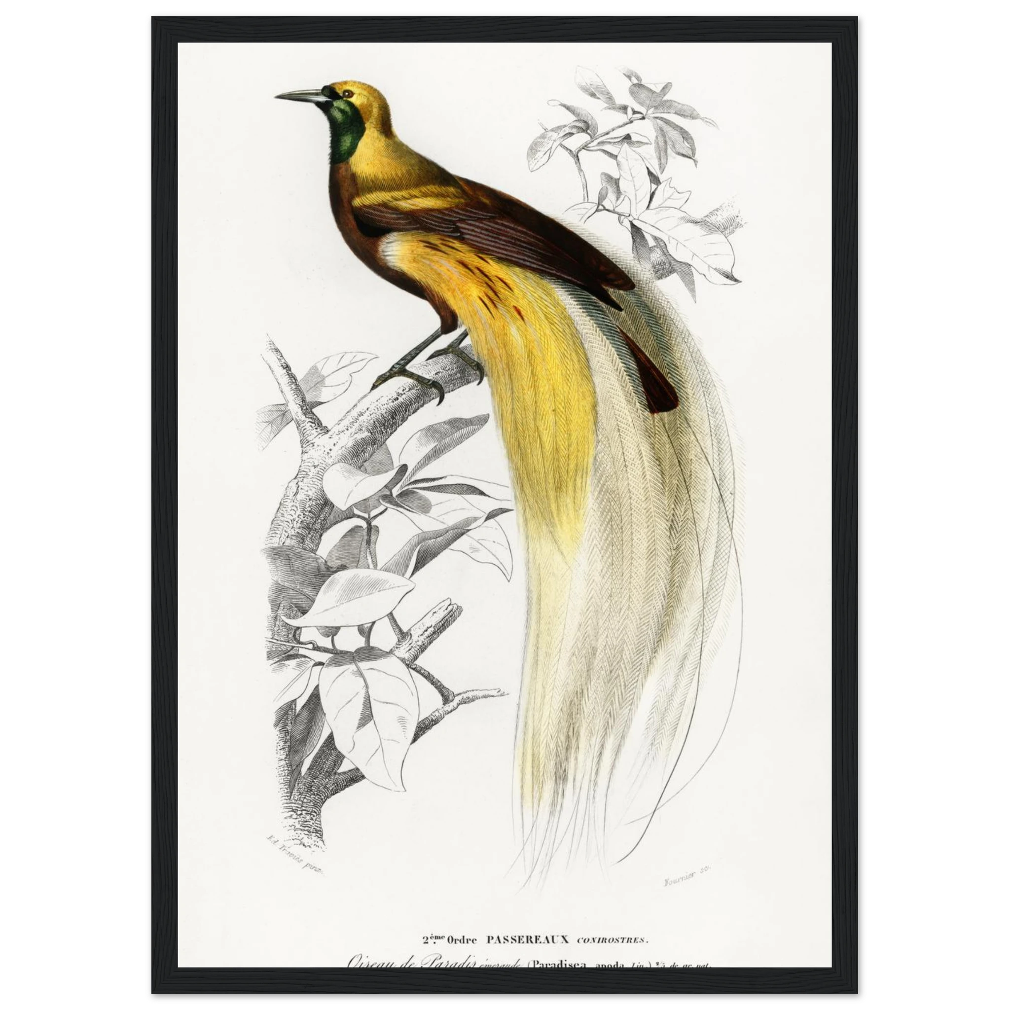 3d433a3b-574d-46b8-8e93-ce5c73bc8de0