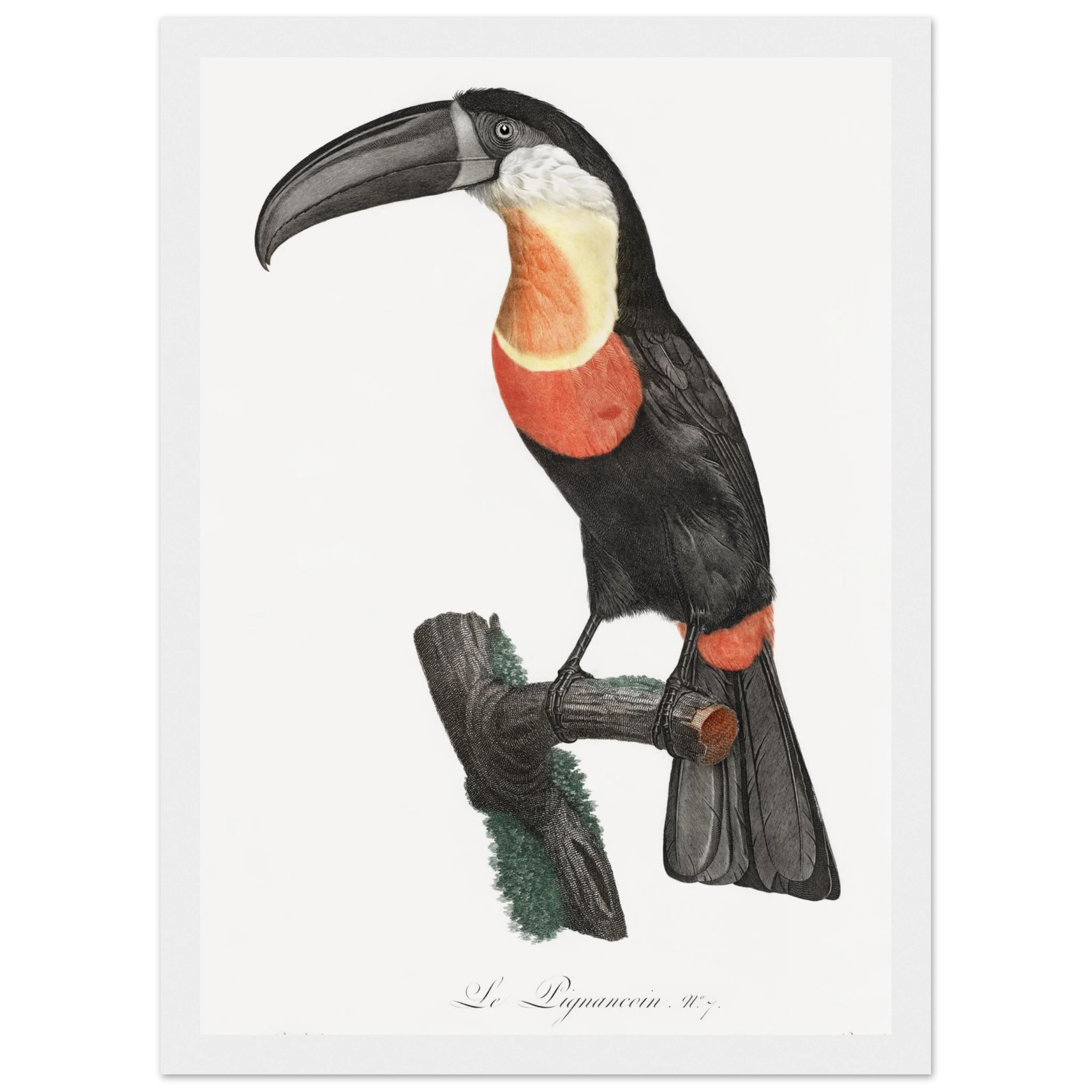 3d488abe-bd54-4022-89ad-6cdfadbe14db