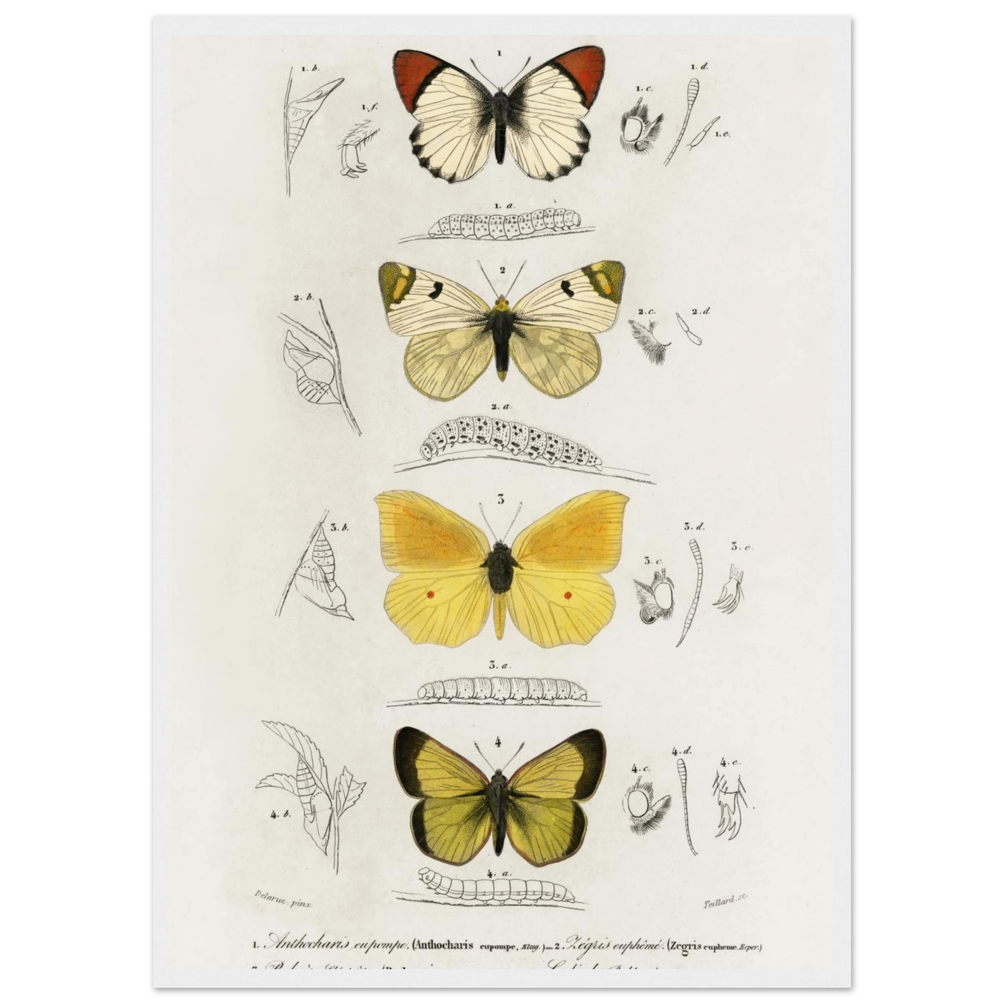 3d4e3522-7e2d-42d7-a3b4-e03b0d4effe4