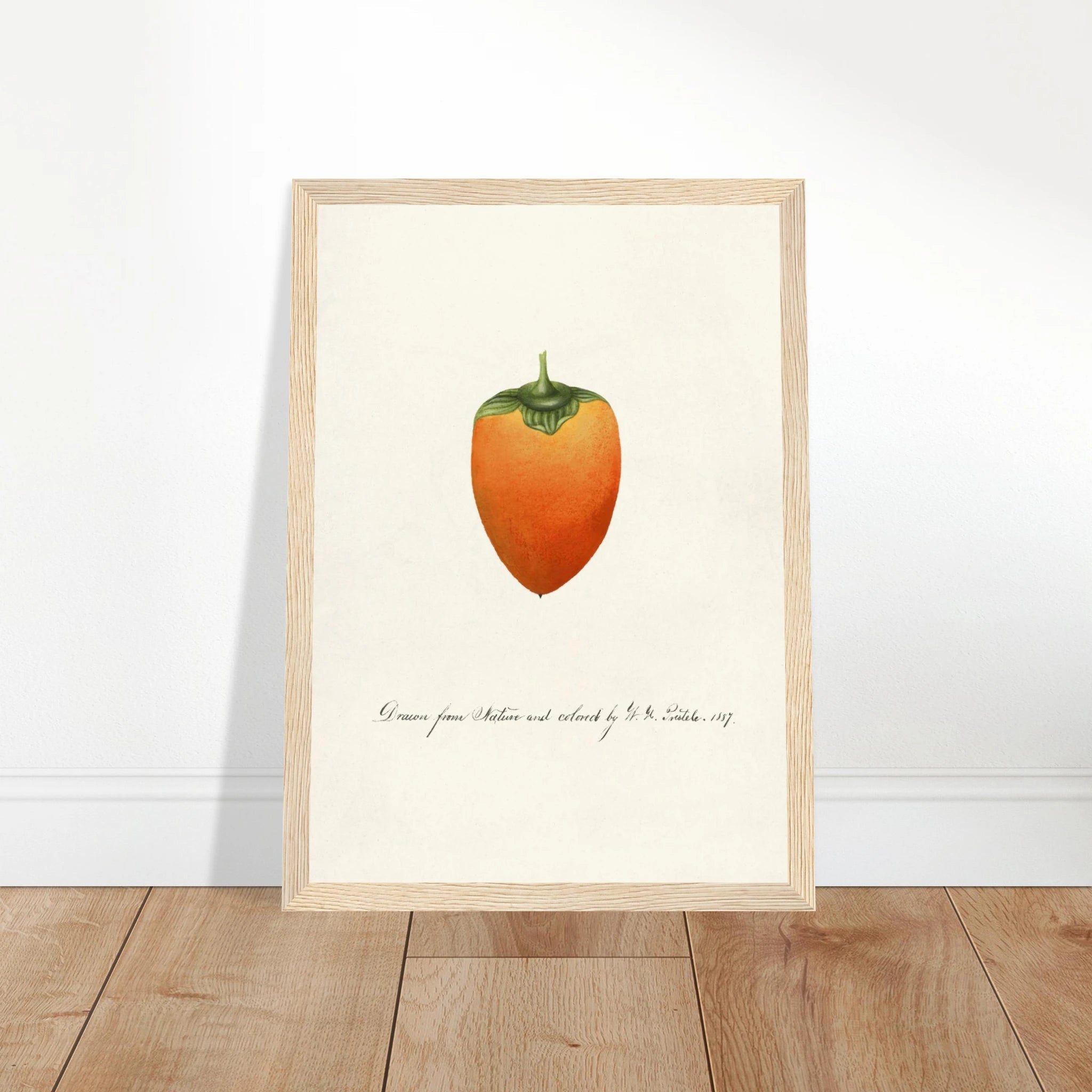 3d5aed71-d240-4895-b440-73a272acc852