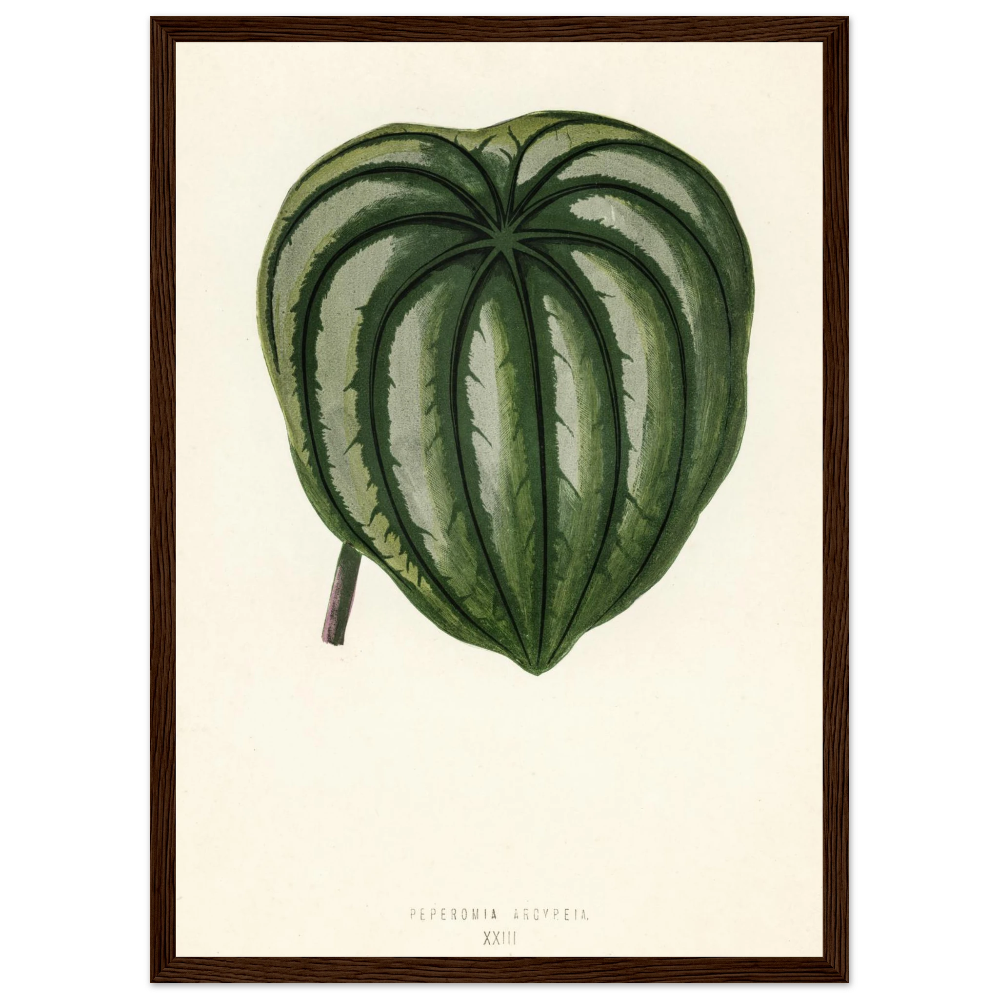 3ddf3e6a-f177-4d37-98fc-3e2f8d351290