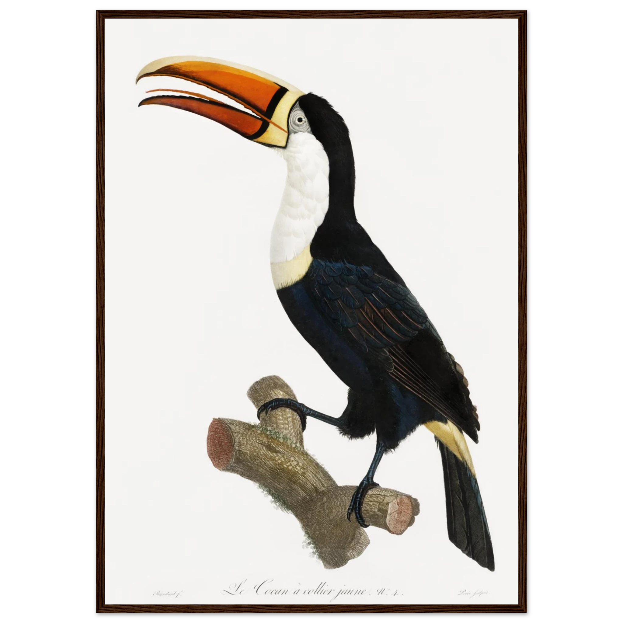 3df0af4d-873b-42f5-ade3-27681819f023