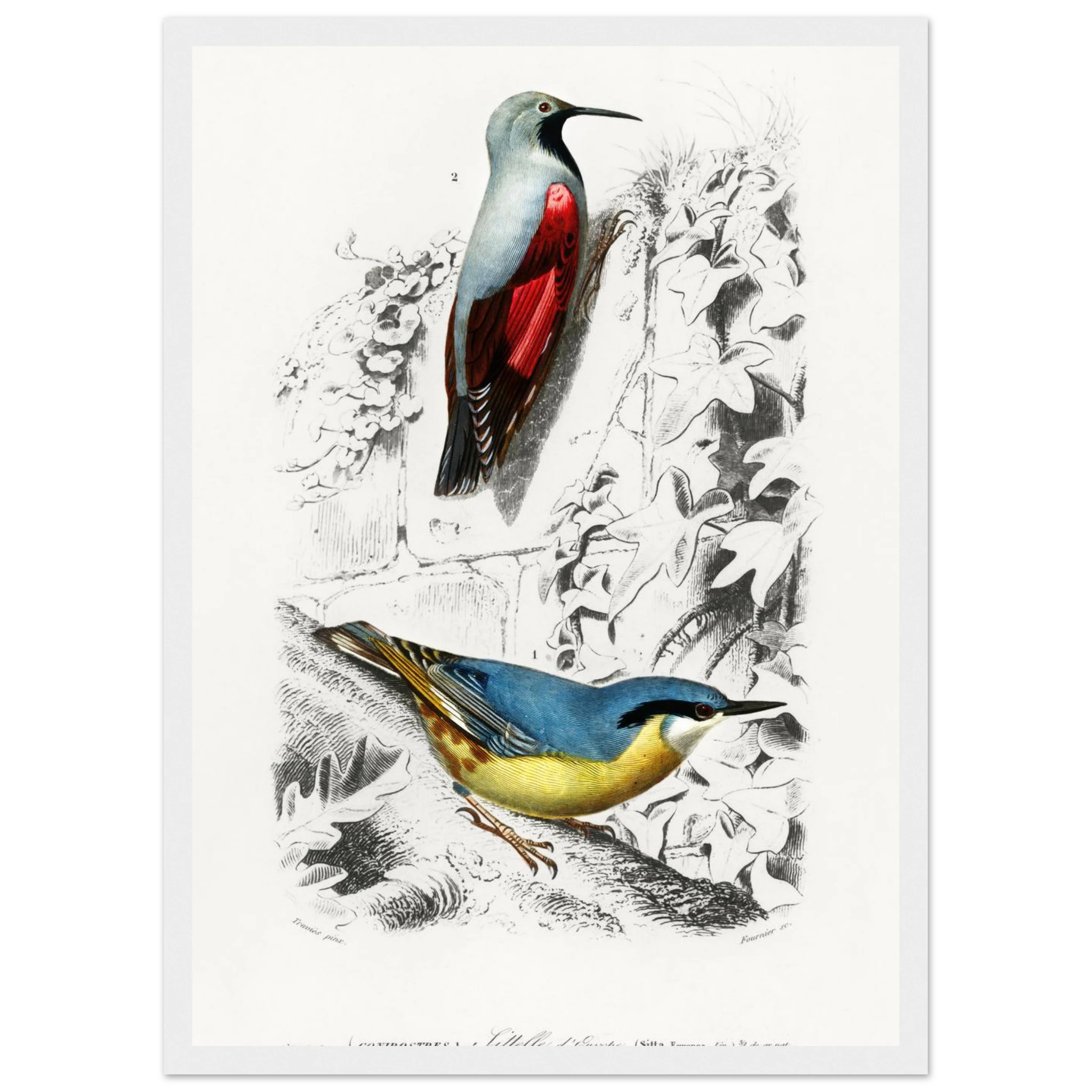 3df3bc64-54eb-4701-bd63-3470bd0c0270