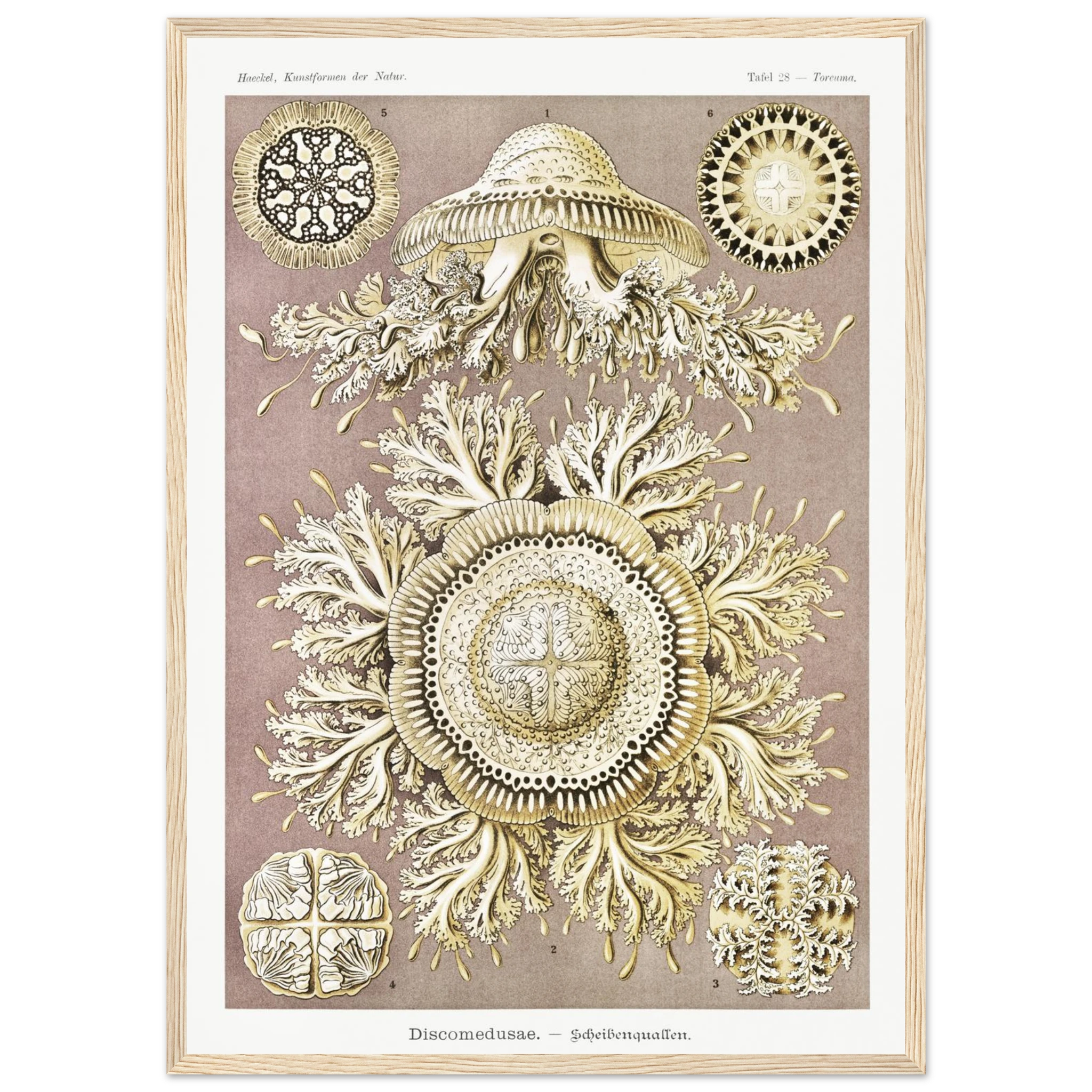 3e26e1db-ba8b-4d4e-8f38-c10770b8b668