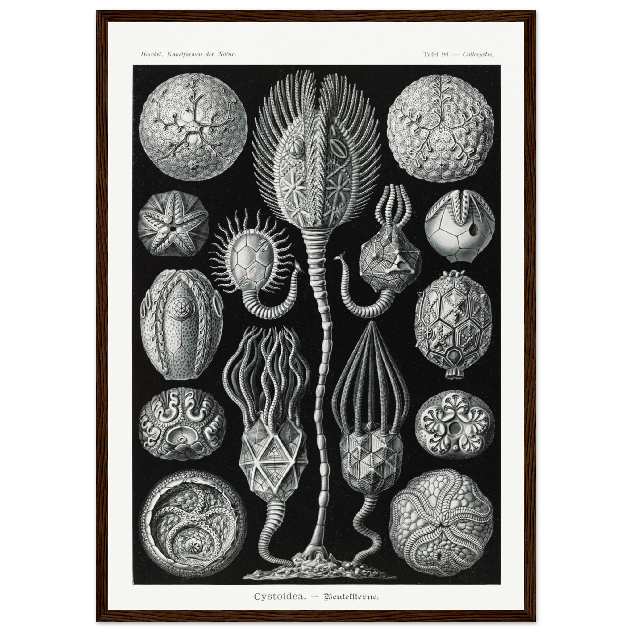 3e454517-b93f-49df-aa66-26e697317356