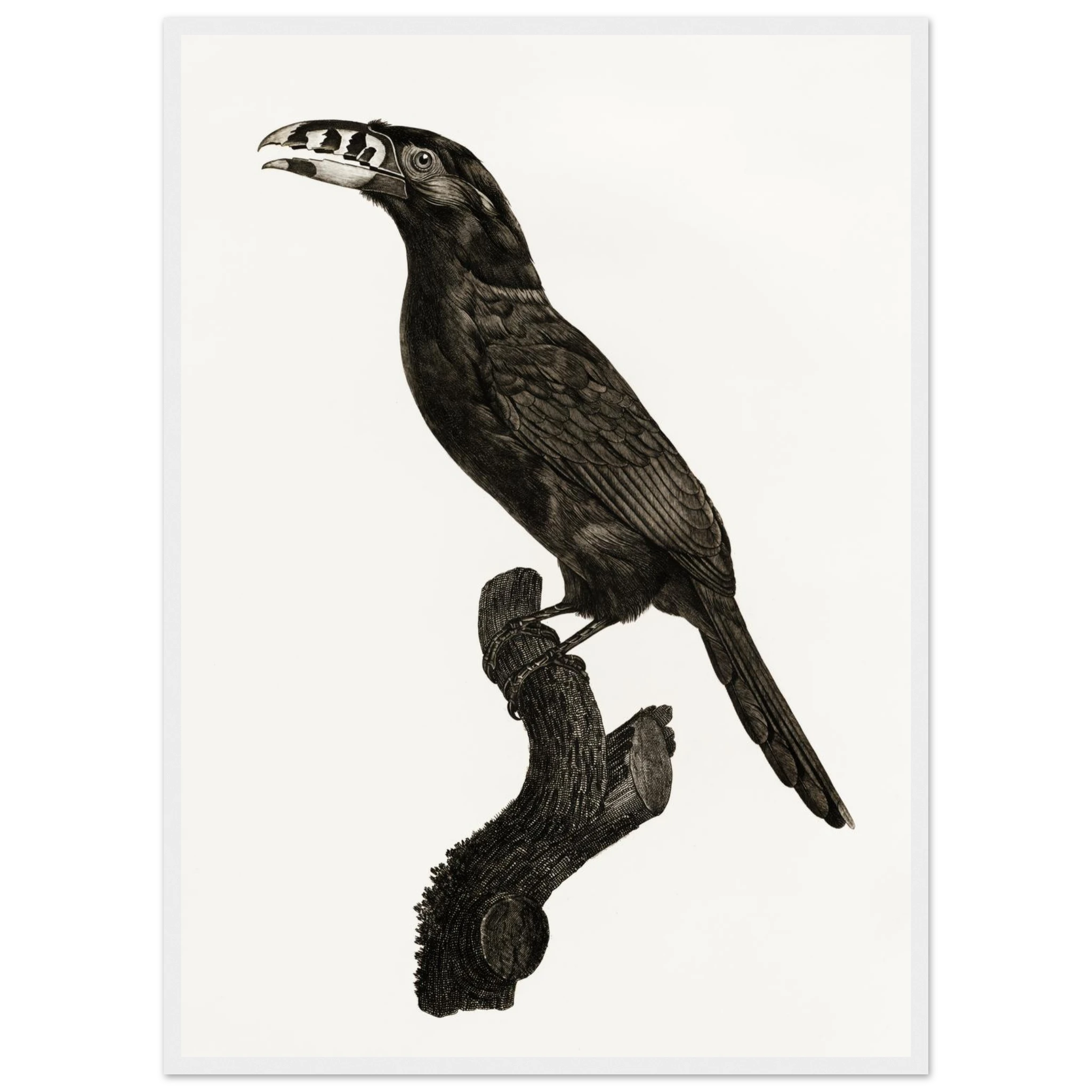 3e6cbb6d-1d6e-4419-b7a9-740b39145fd3