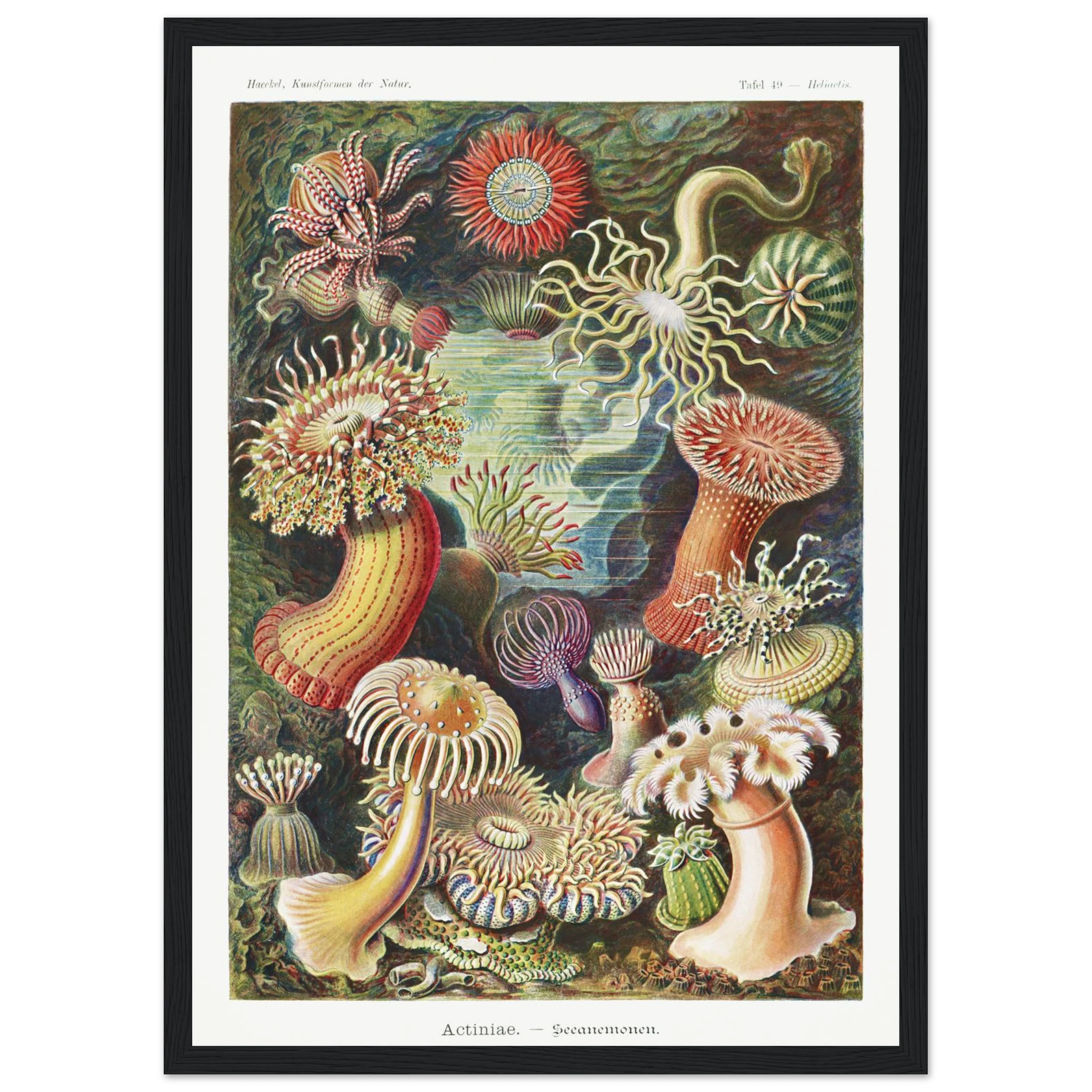 3e744f1c-3cf5-4b9d-8926-7771dfd0a39a